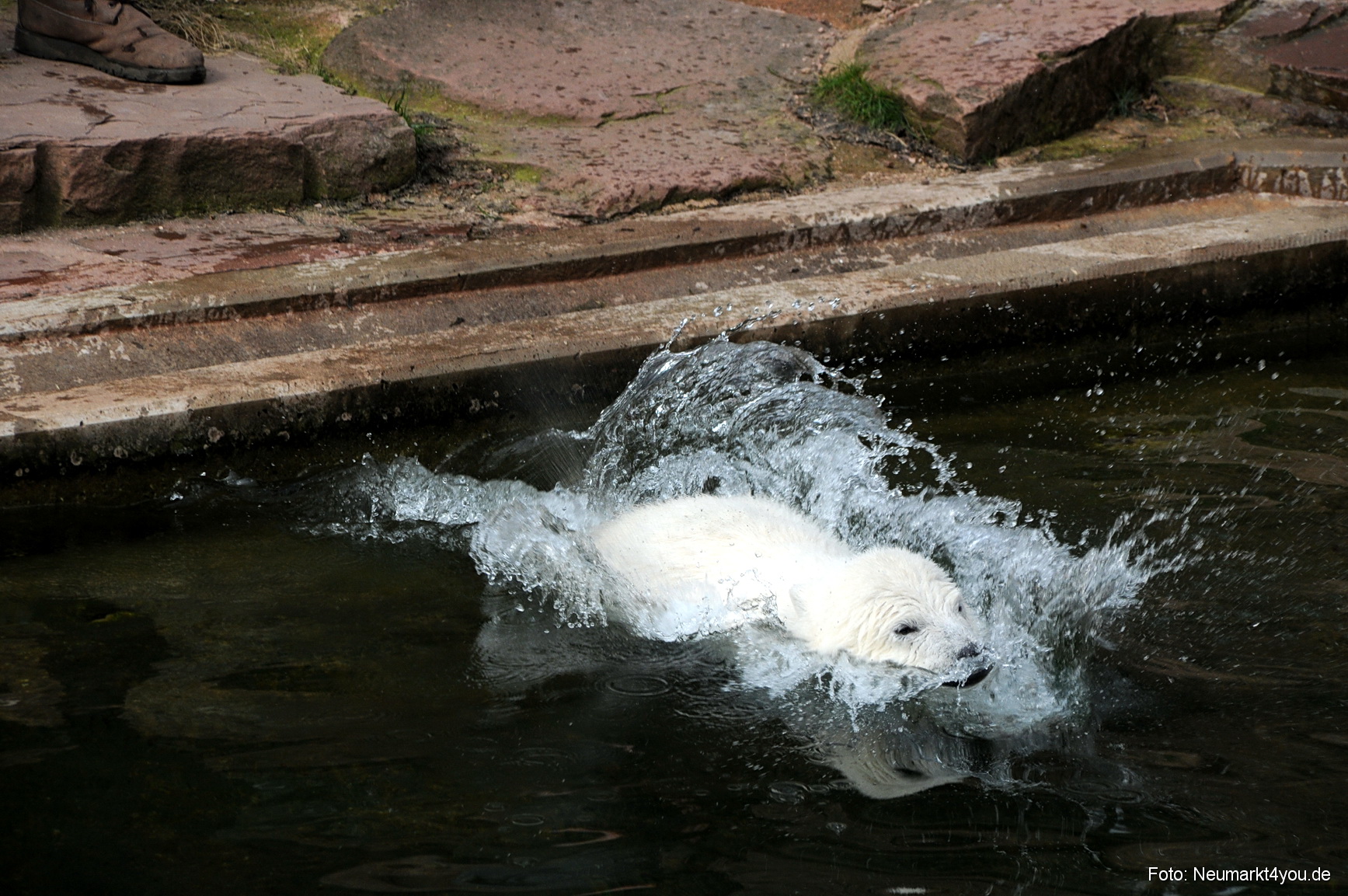 0067 Flocke Nuernberg 080408