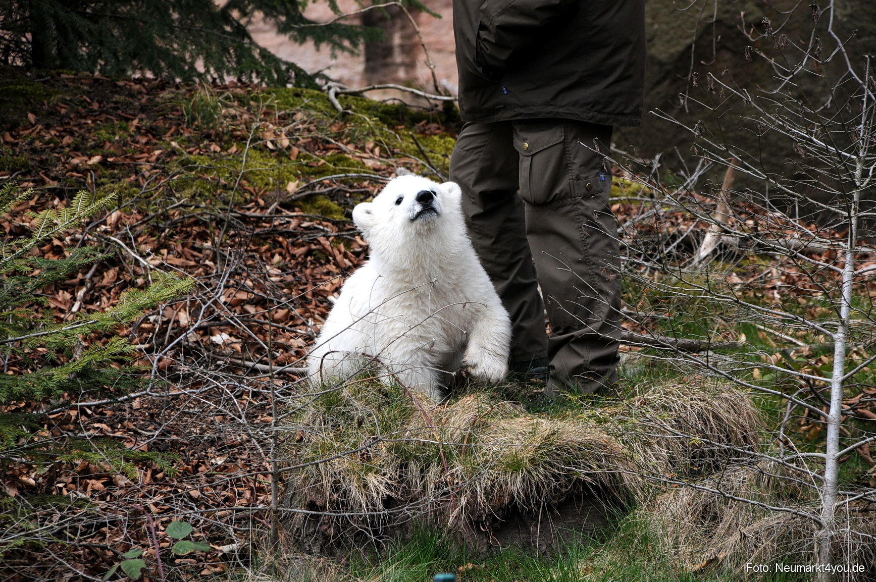 0080 Flocke Nuernberg 080408