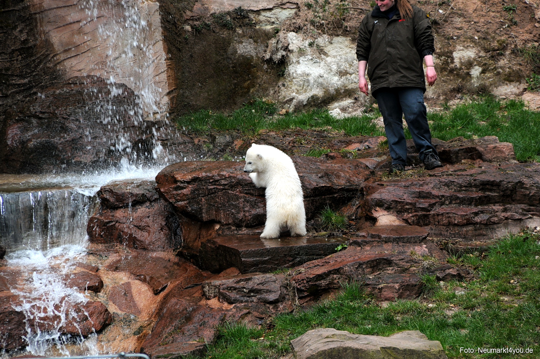 0092 Flocke Nuernberg 080408
