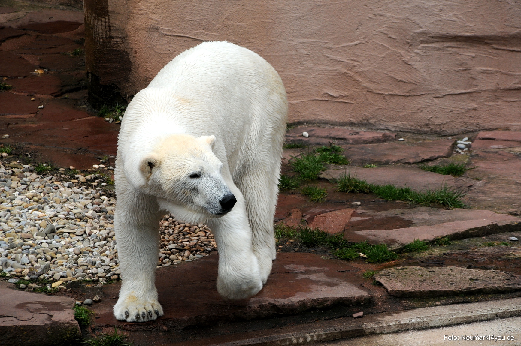 0095 Flocke Nuernberg 080408