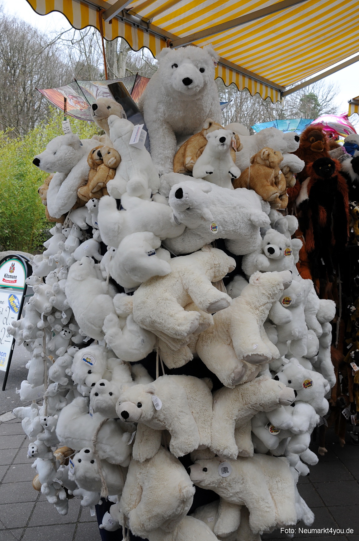 0100 Flocke Nuernberg 080408