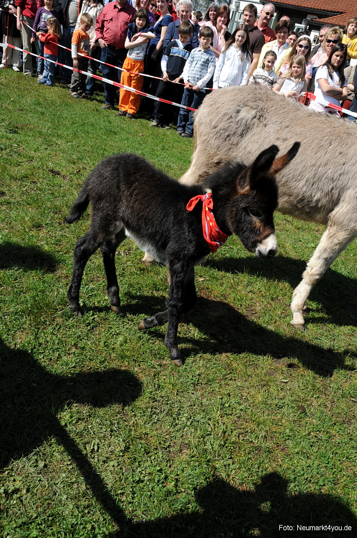 0037 Fruehlingsfest 200408