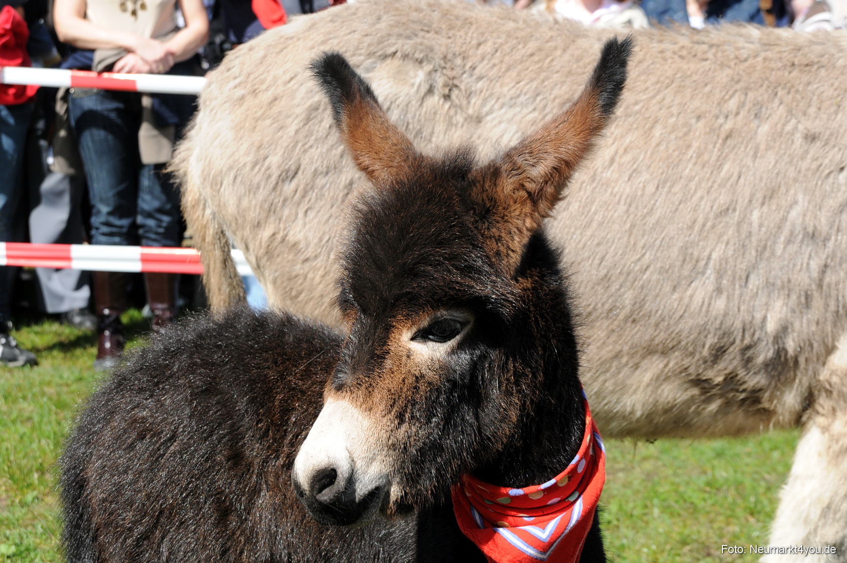0038 Fruehlingsfest 200408