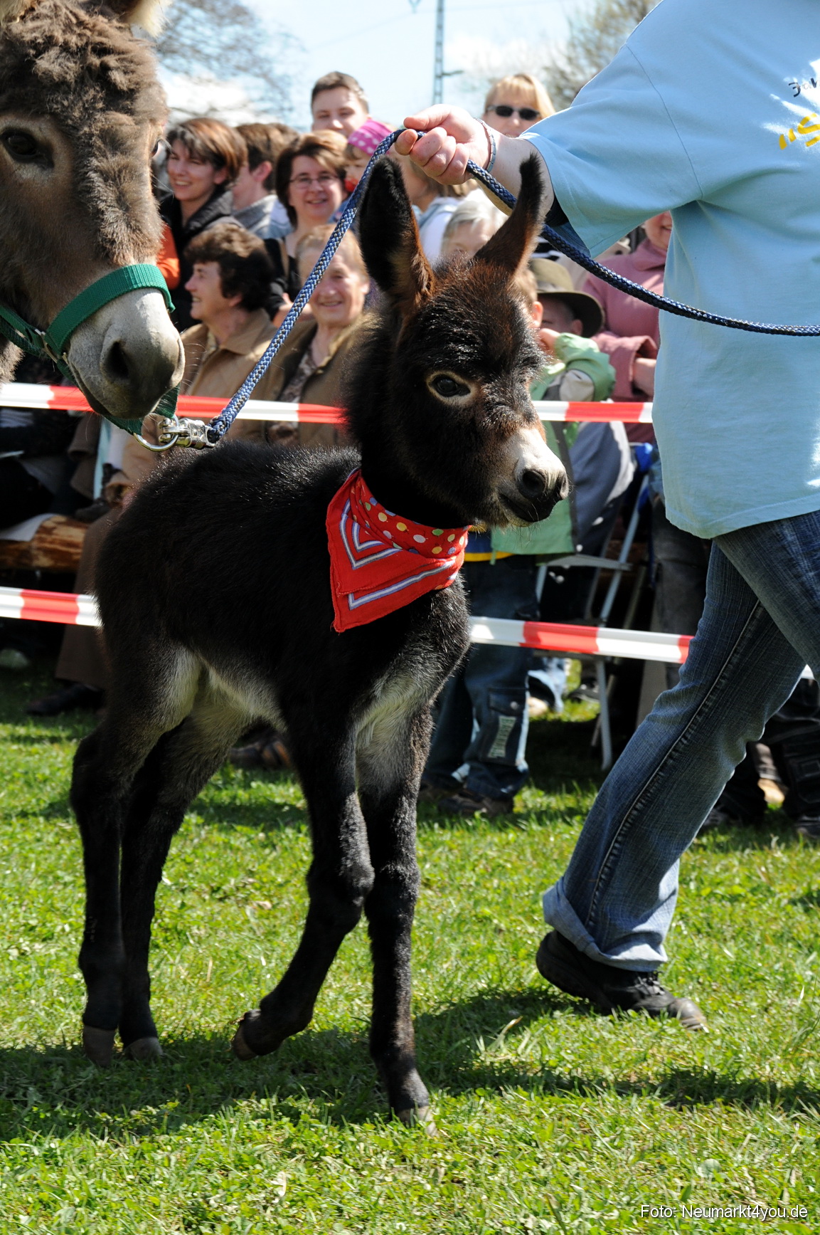 0039 Fruehlingsfest 200408