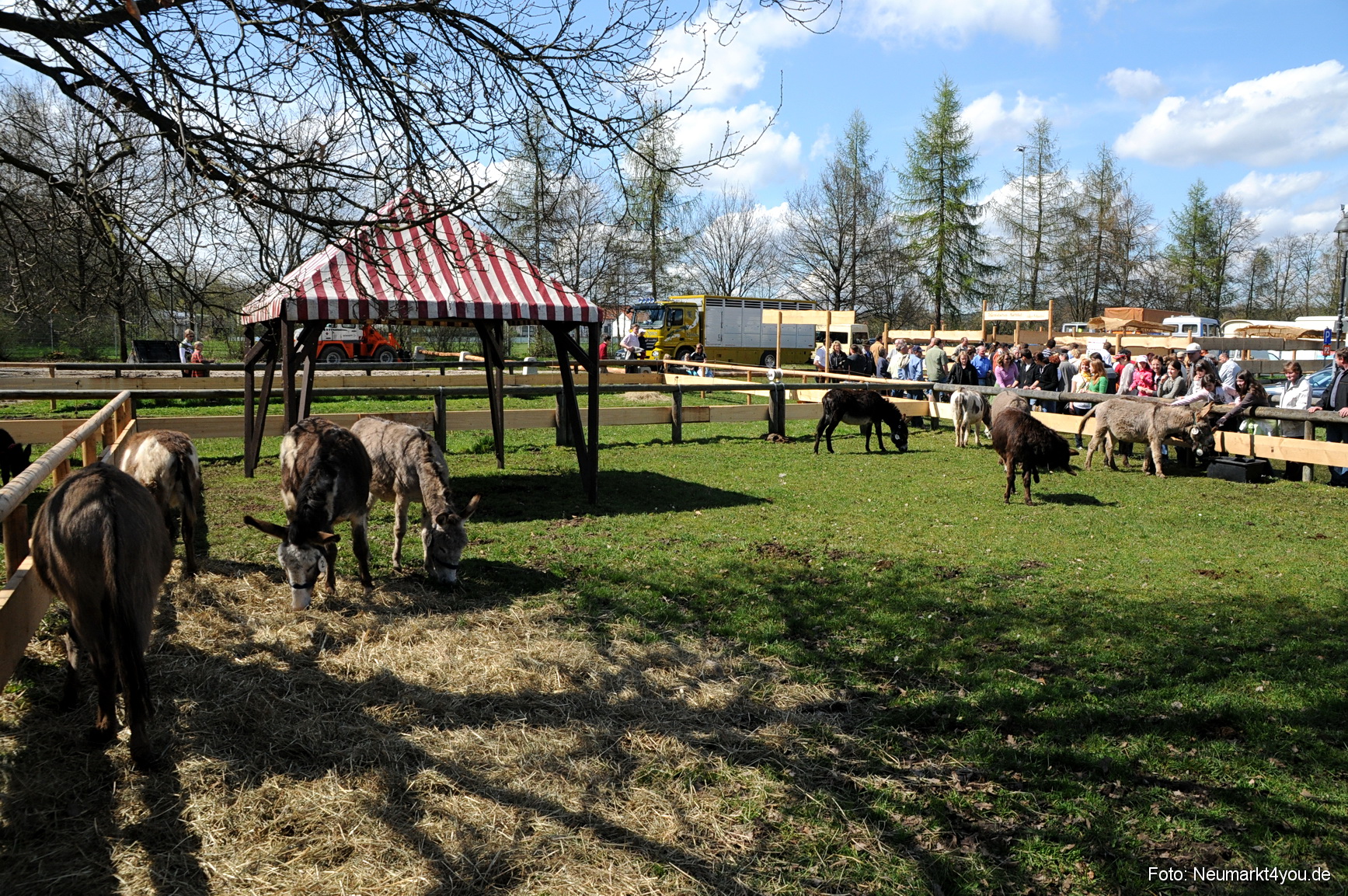 0065 Fruehlingsfest 200408