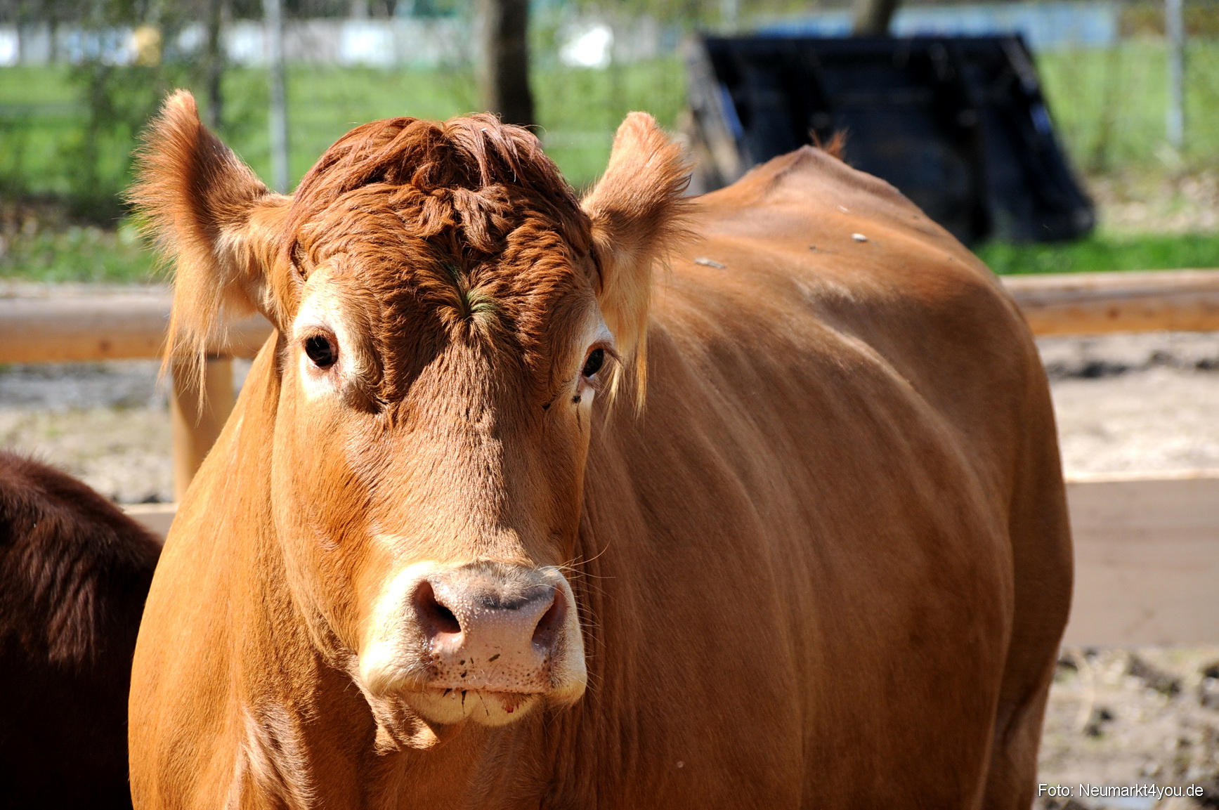 0067 Fruehlingsfest 200408