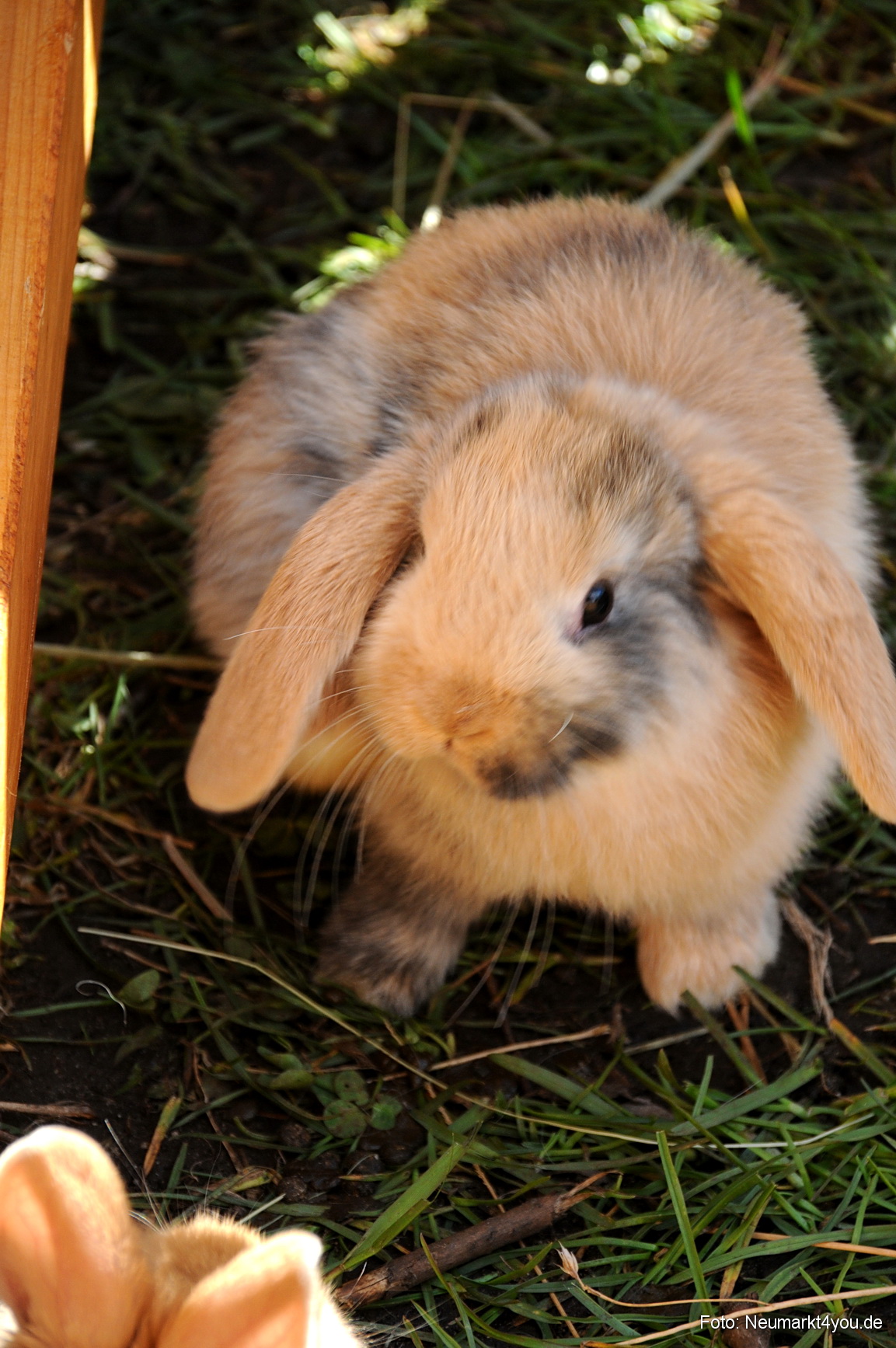 0074 Fruehlingsfest 200408