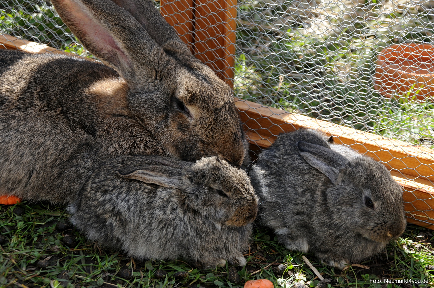 0075 Fruehlingsfest 200408