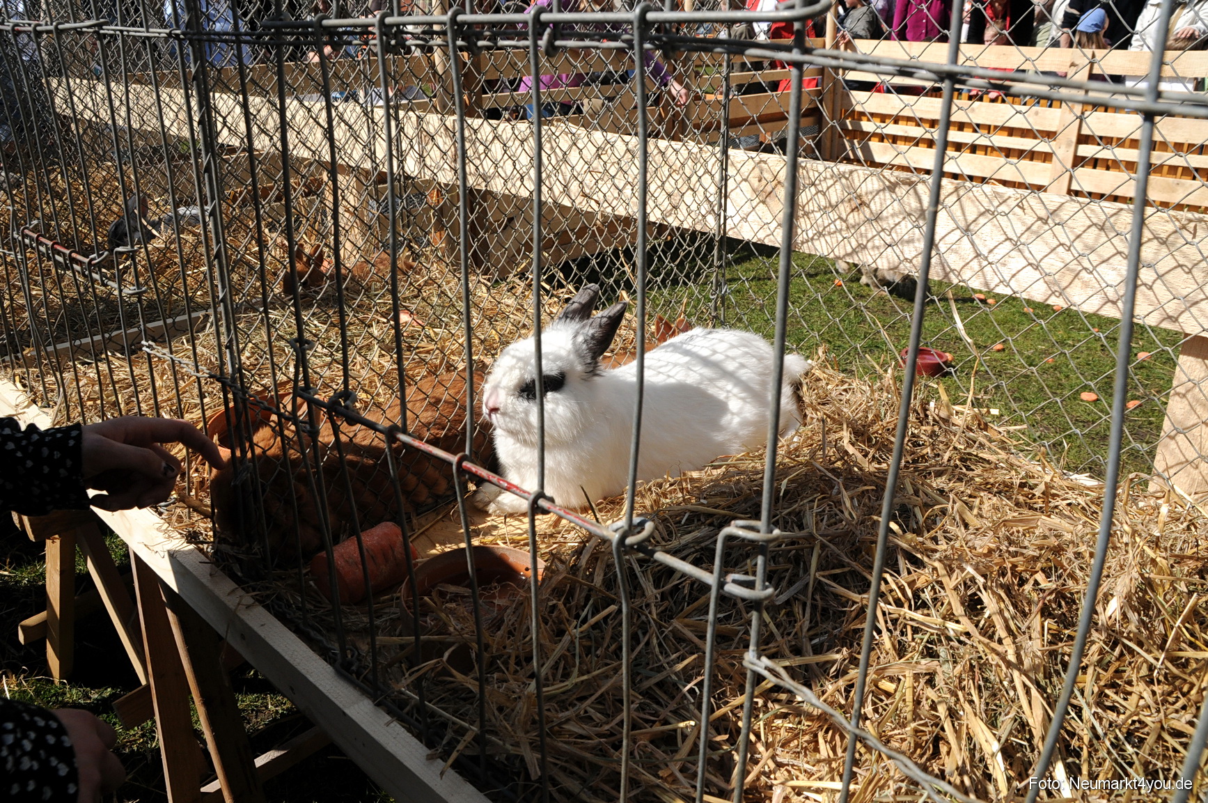 0077 Fruehlingsfest 200408