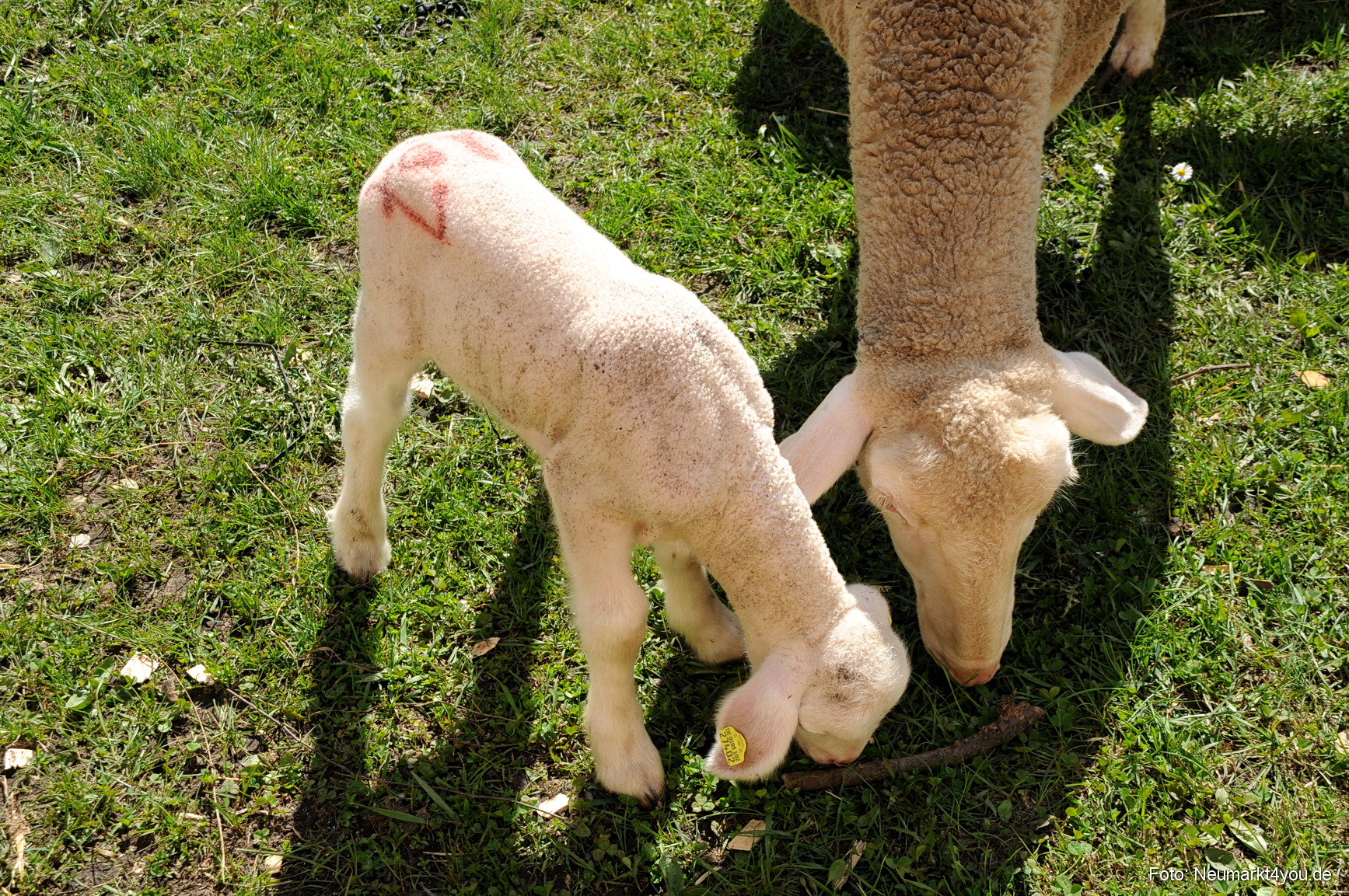 0078 Fruehlingsfest 200408