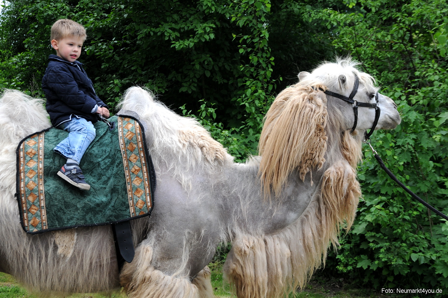 0002 Gartentage Neumarkt 220508