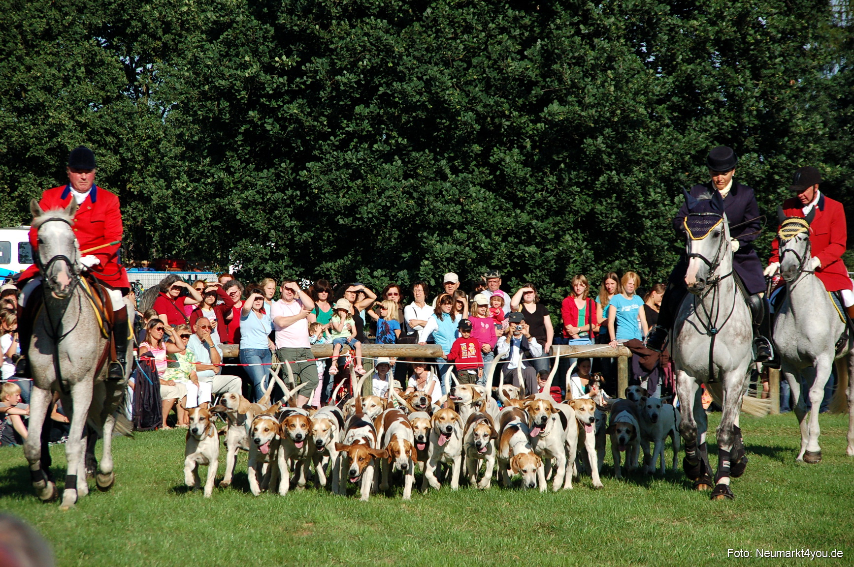 0006 Pferdeschau Neumarkt 180808