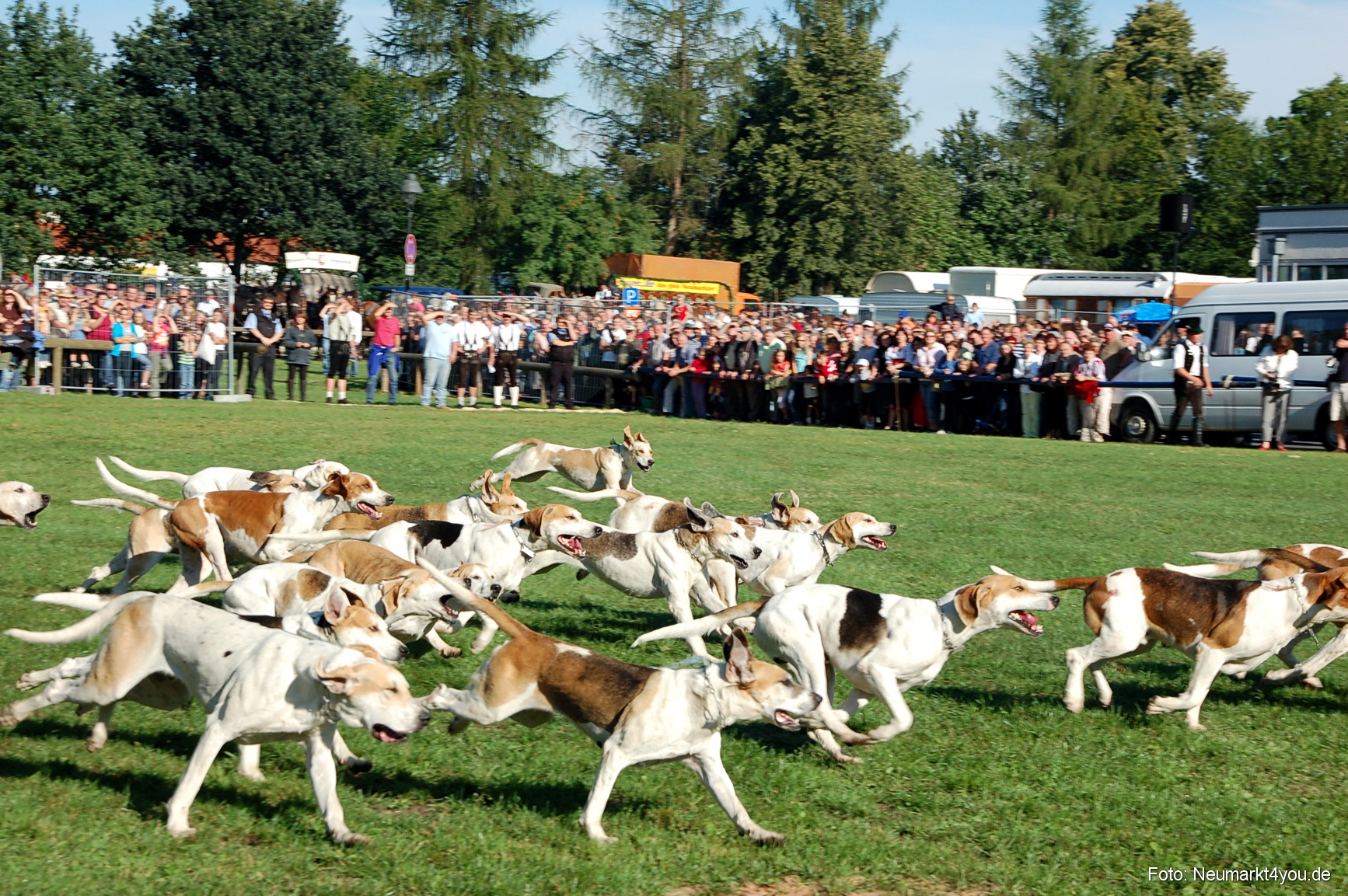 0008 Pferdeschau Neumarkt 180808