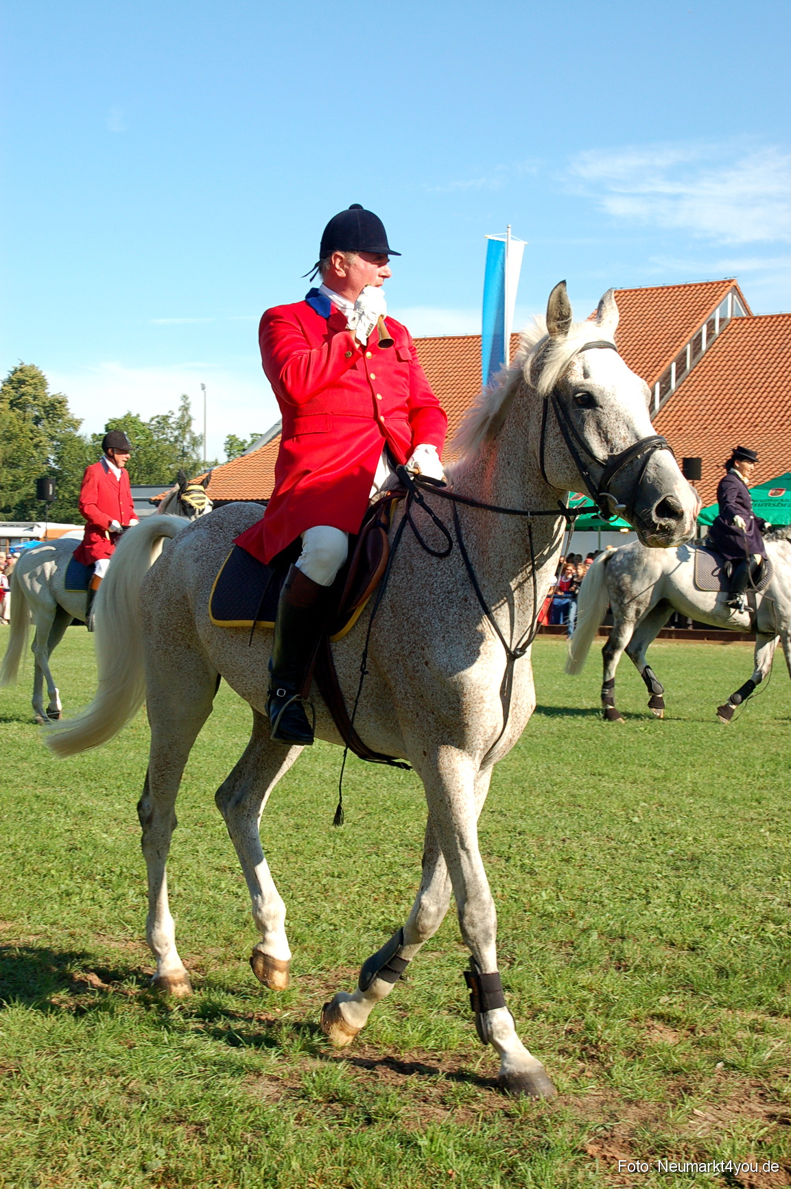 0009 Pferdeschau Neumarkt 180808