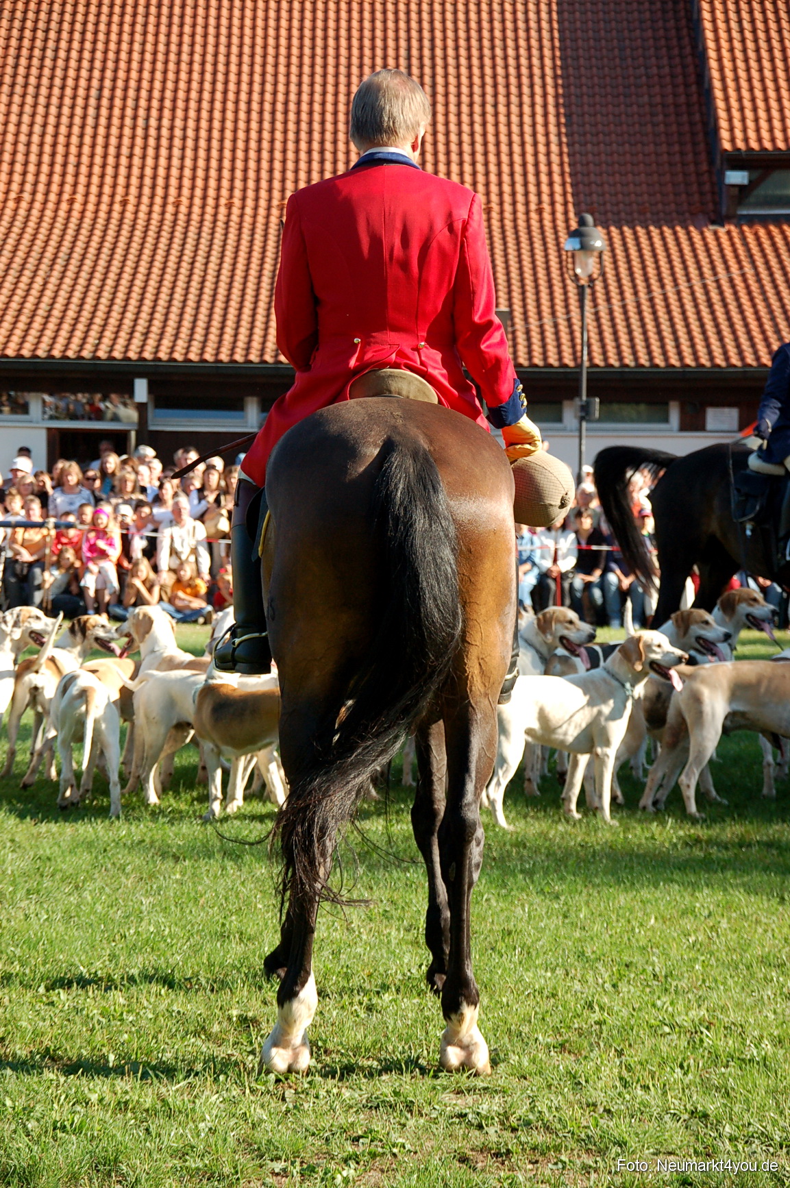 0010 Pferdeschau Neumarkt 180808