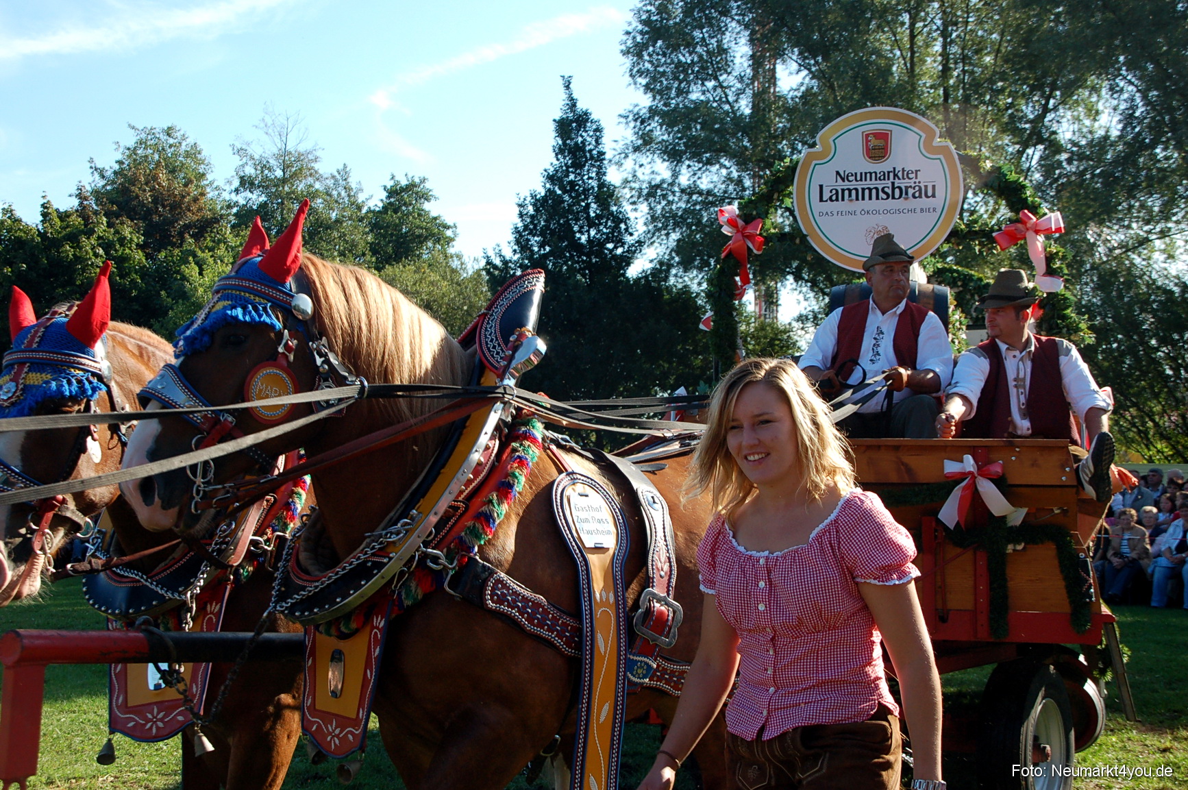 0014 Pferdeschau Neumarkt 180808
