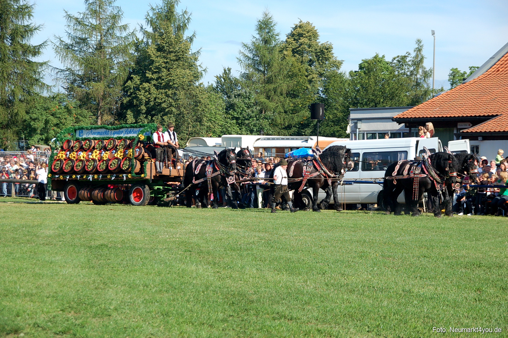 0018 Pferdeschau Neumarkt 180808