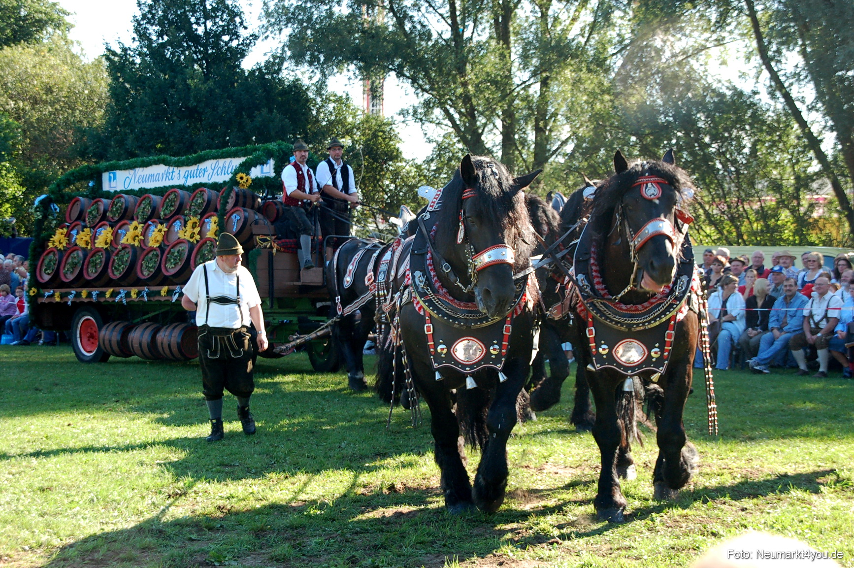 0020 Pferdeschau Neumarkt 180808