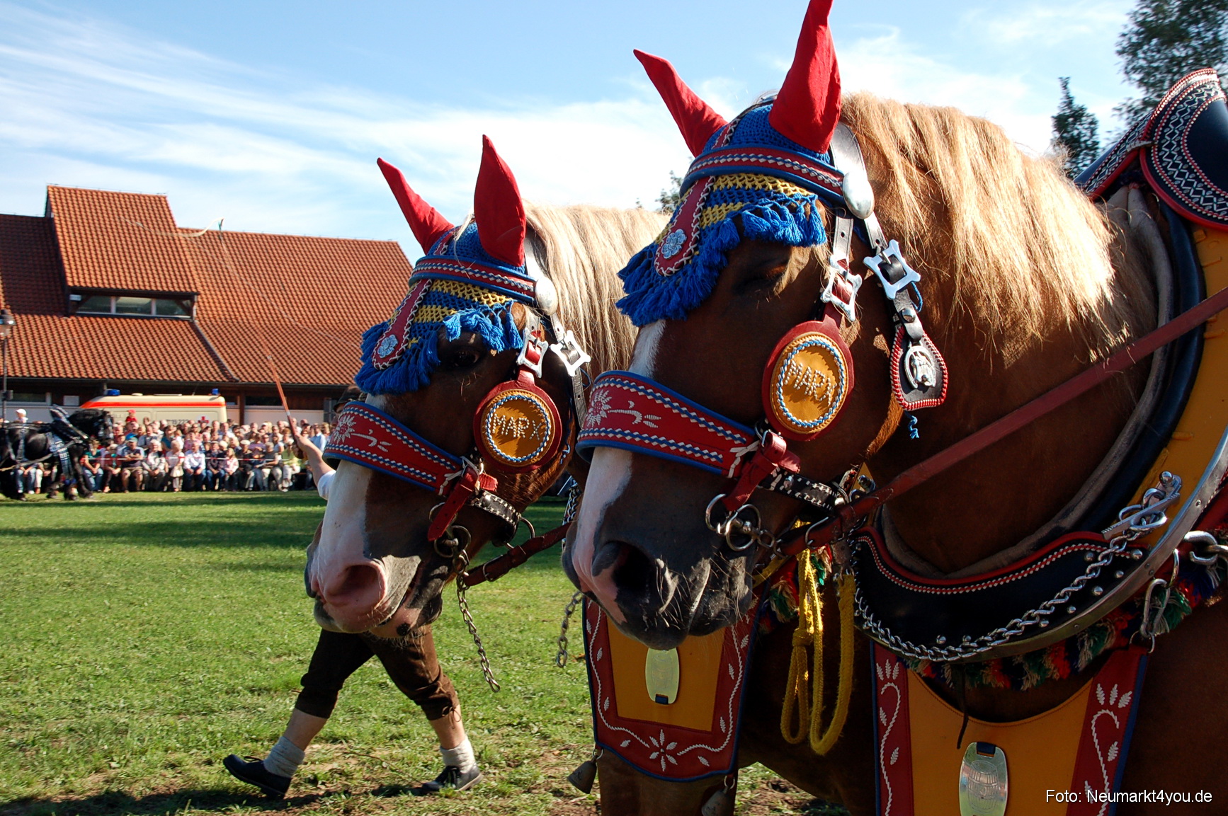 0025 Pferdeschau Neumarkt 180808