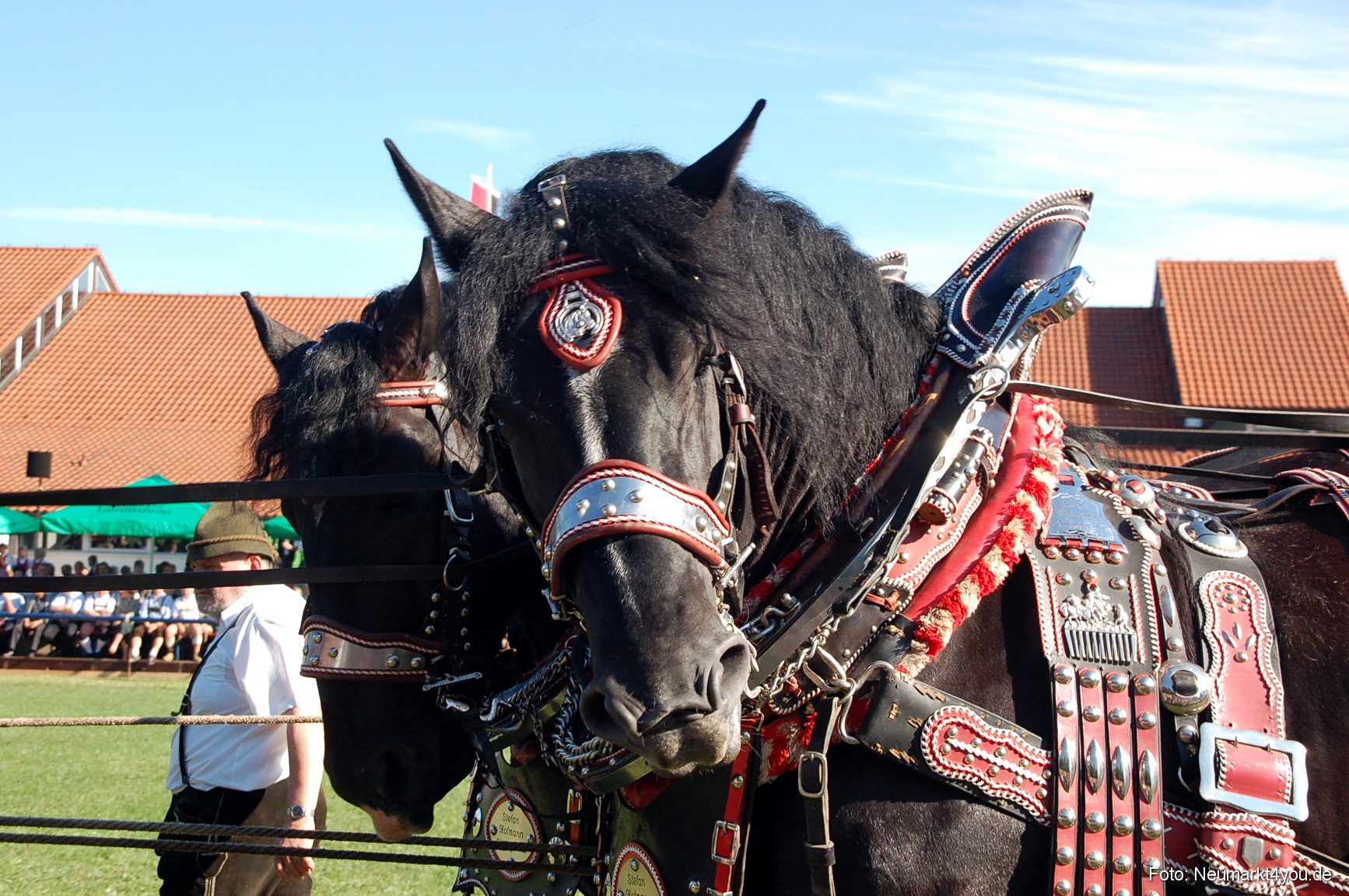 0026 Pferdeschau Neumarkt 180808
