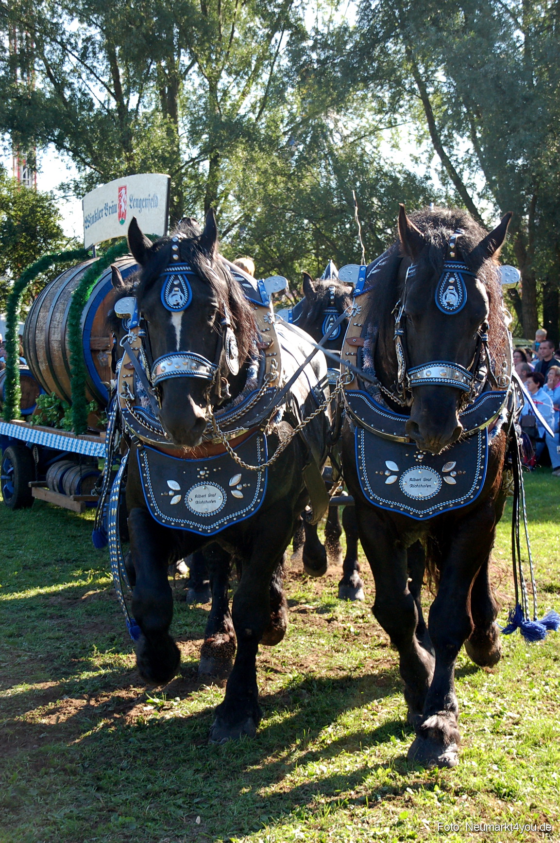 0032 Pferdeschau Neumarkt 180808
