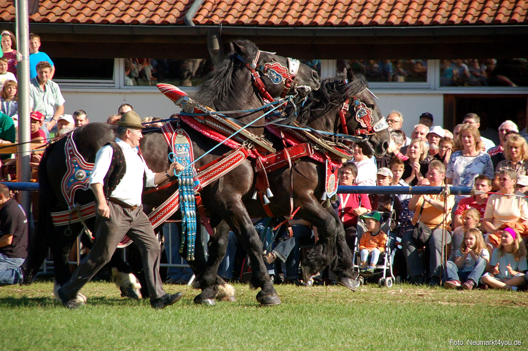 0038 Pferdeschau Neumarkt 180808