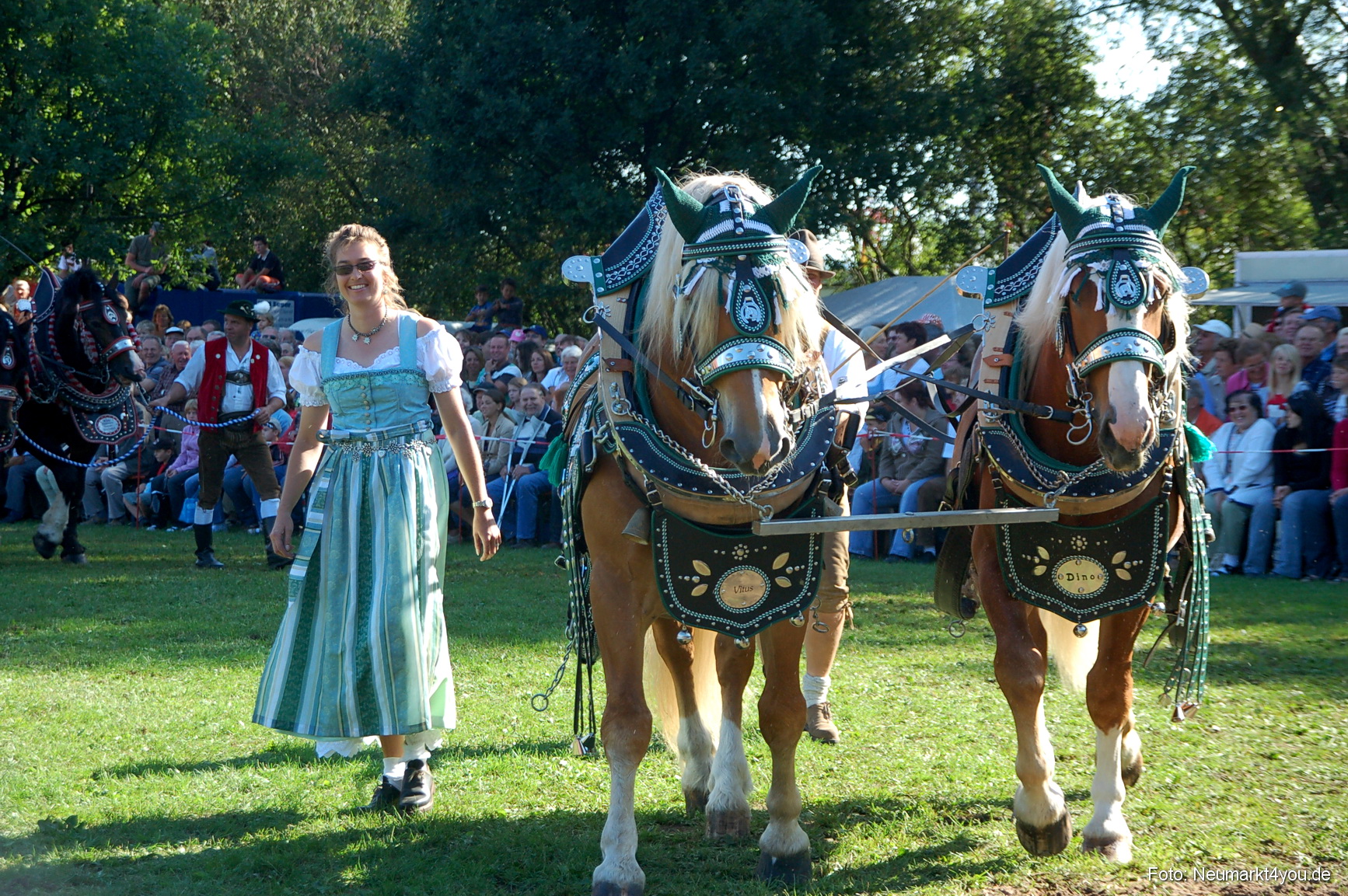 0041 Pferdeschau Neumarkt 180808