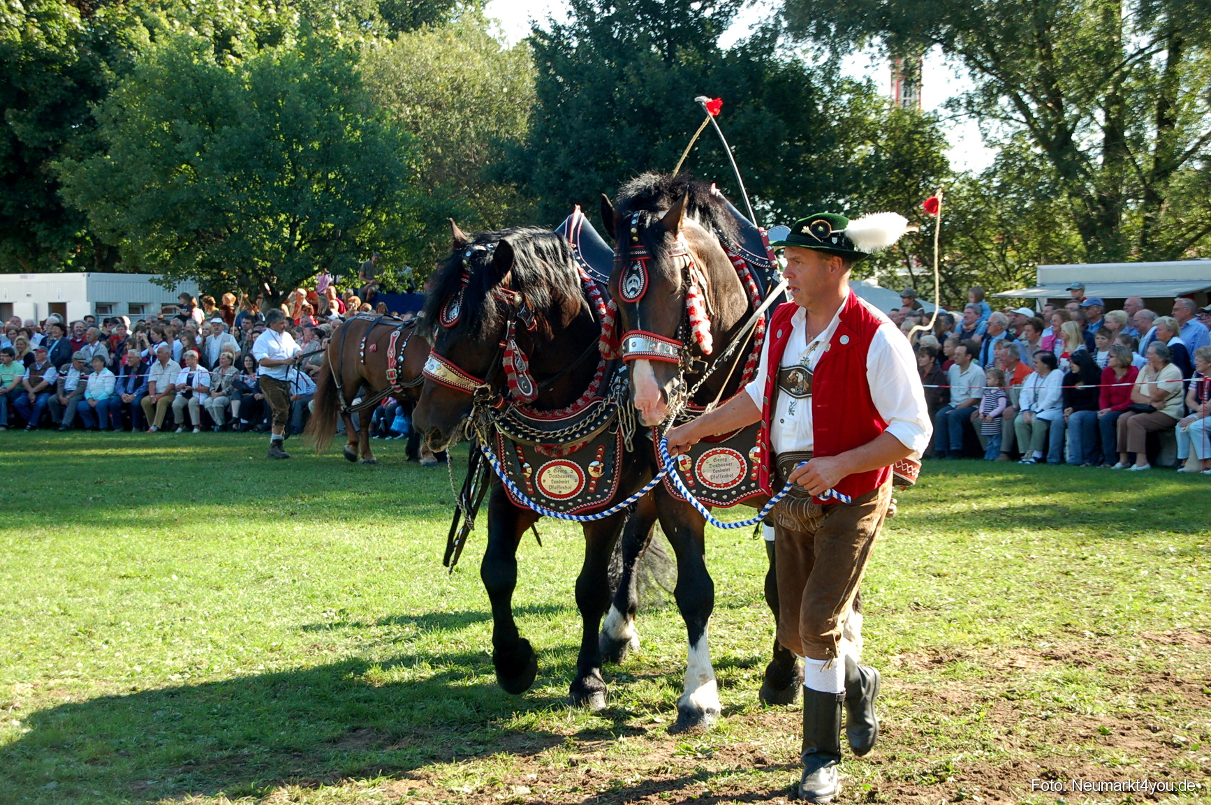 0042 Pferdeschau Neumarkt 180808