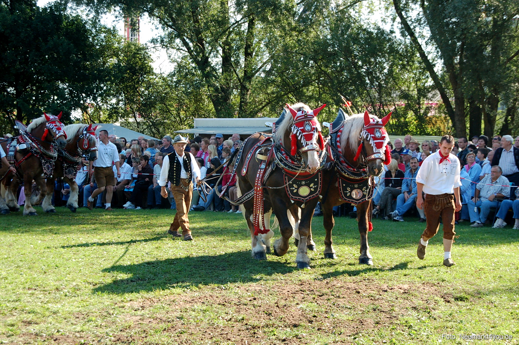 0047 Pferdeschau Neumarkt 180808
