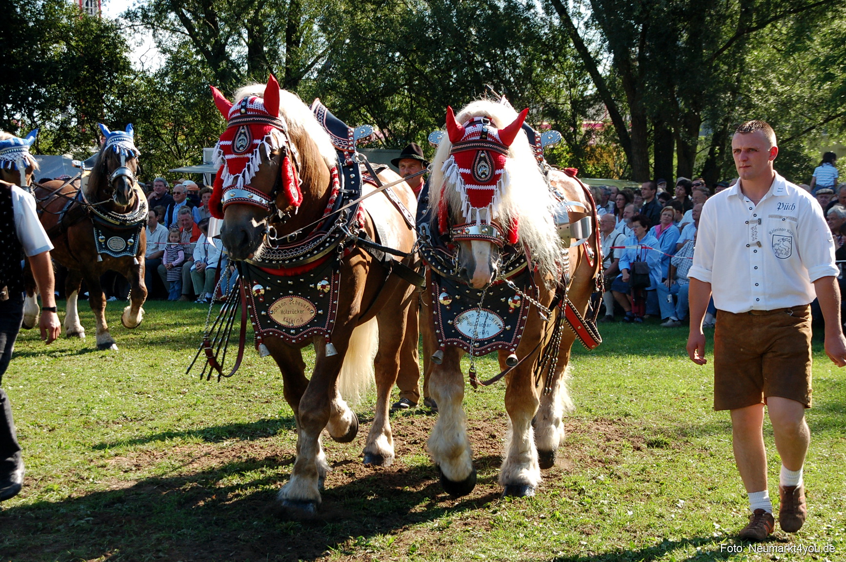 0048 Pferdeschau Neumarkt 180808