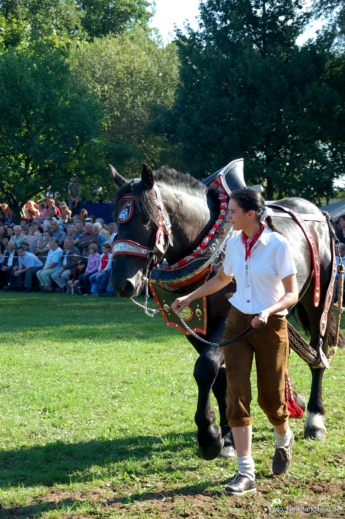 0052 Pferdeschau Neumarkt 180808