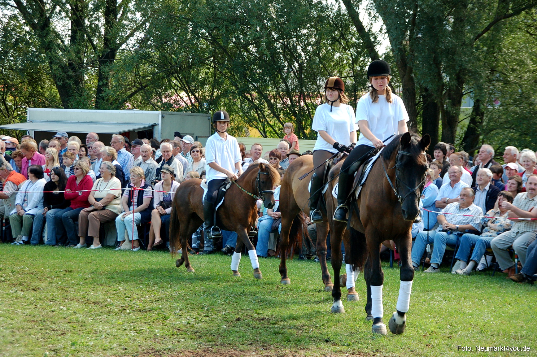 0057 Pferdeschau Neumarkt 180808