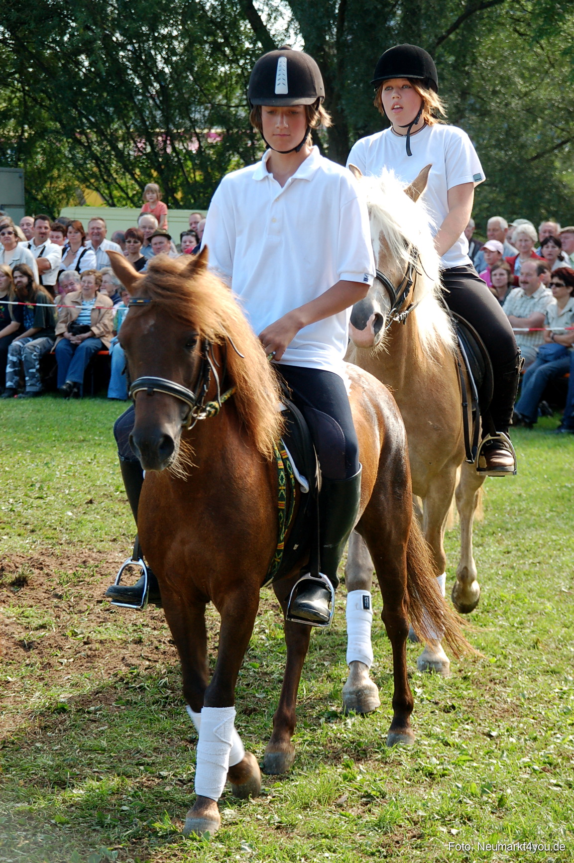 0058 Pferdeschau Neumarkt 180808