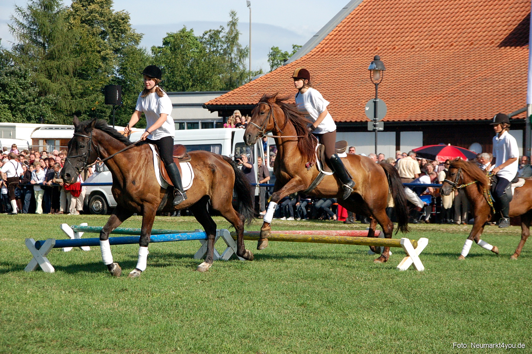 0059 Pferdeschau Neumarkt 180808
