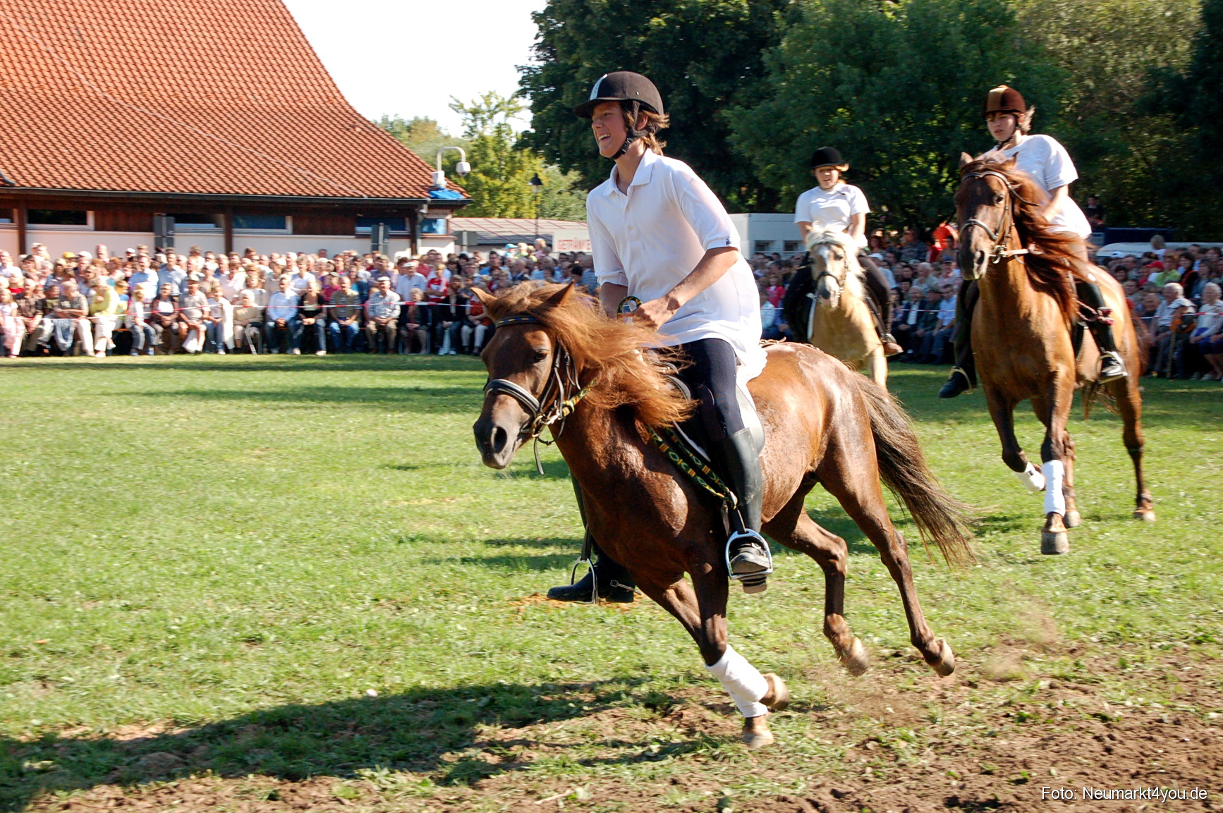 0060 Pferdeschau Neumarkt 180808