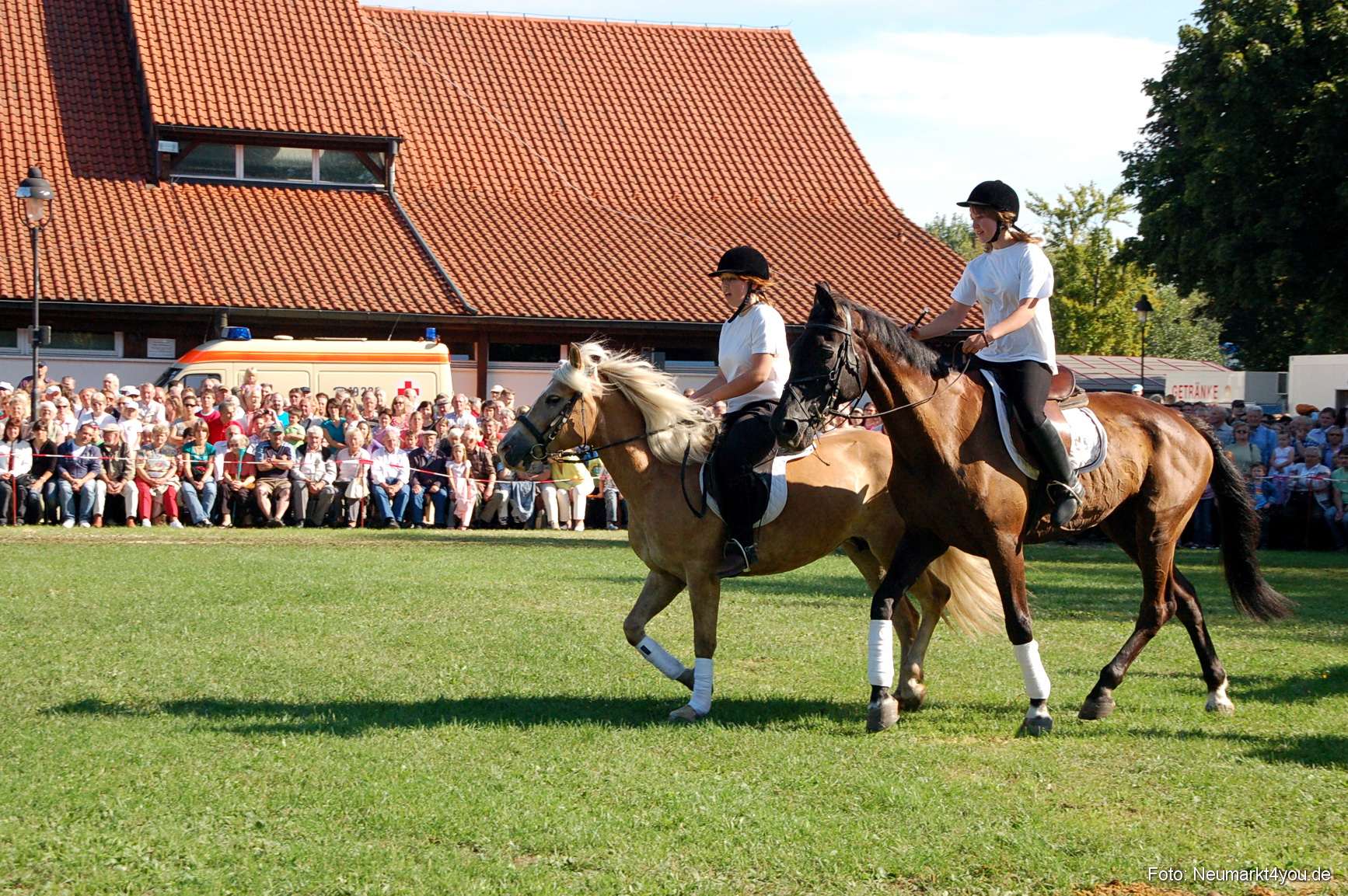 0061 Pferdeschau Neumarkt 180808