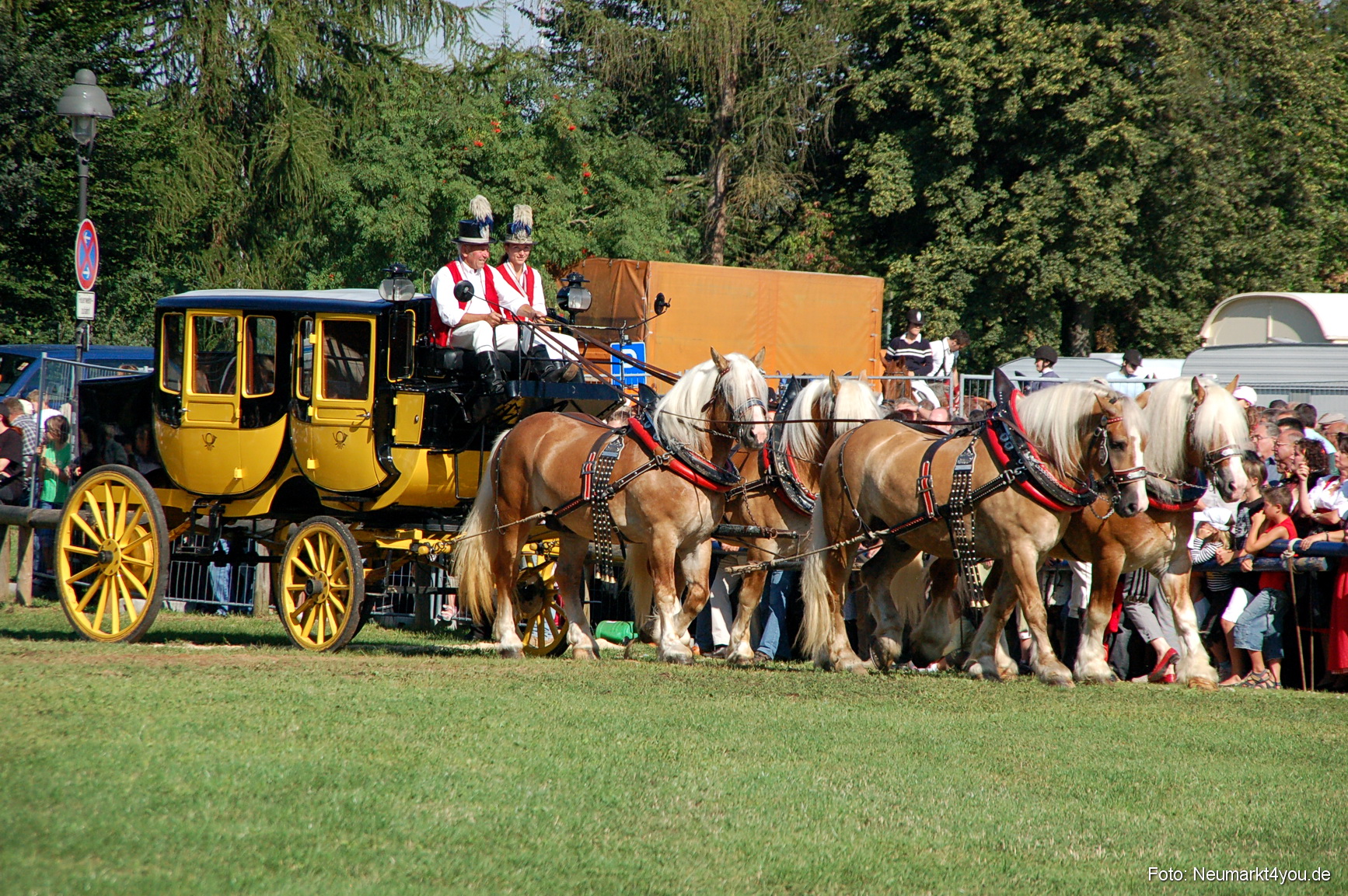 0062 Pferdeschau Neumarkt 180808
