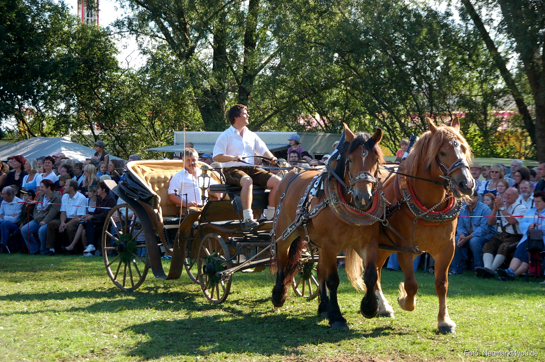 0064 Pferdeschau Neumarkt 180808