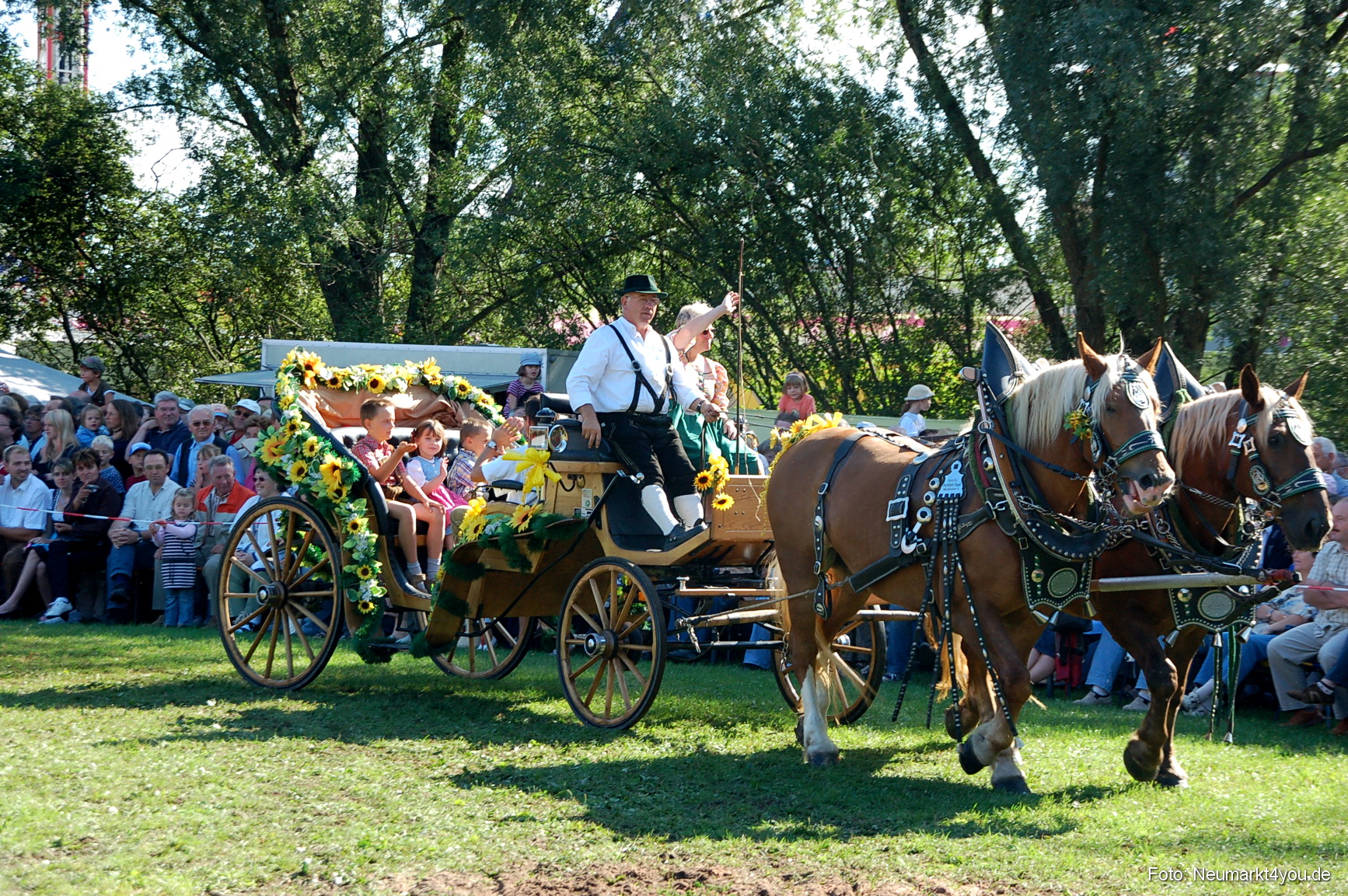 0066 Pferdeschau Neumarkt 180808