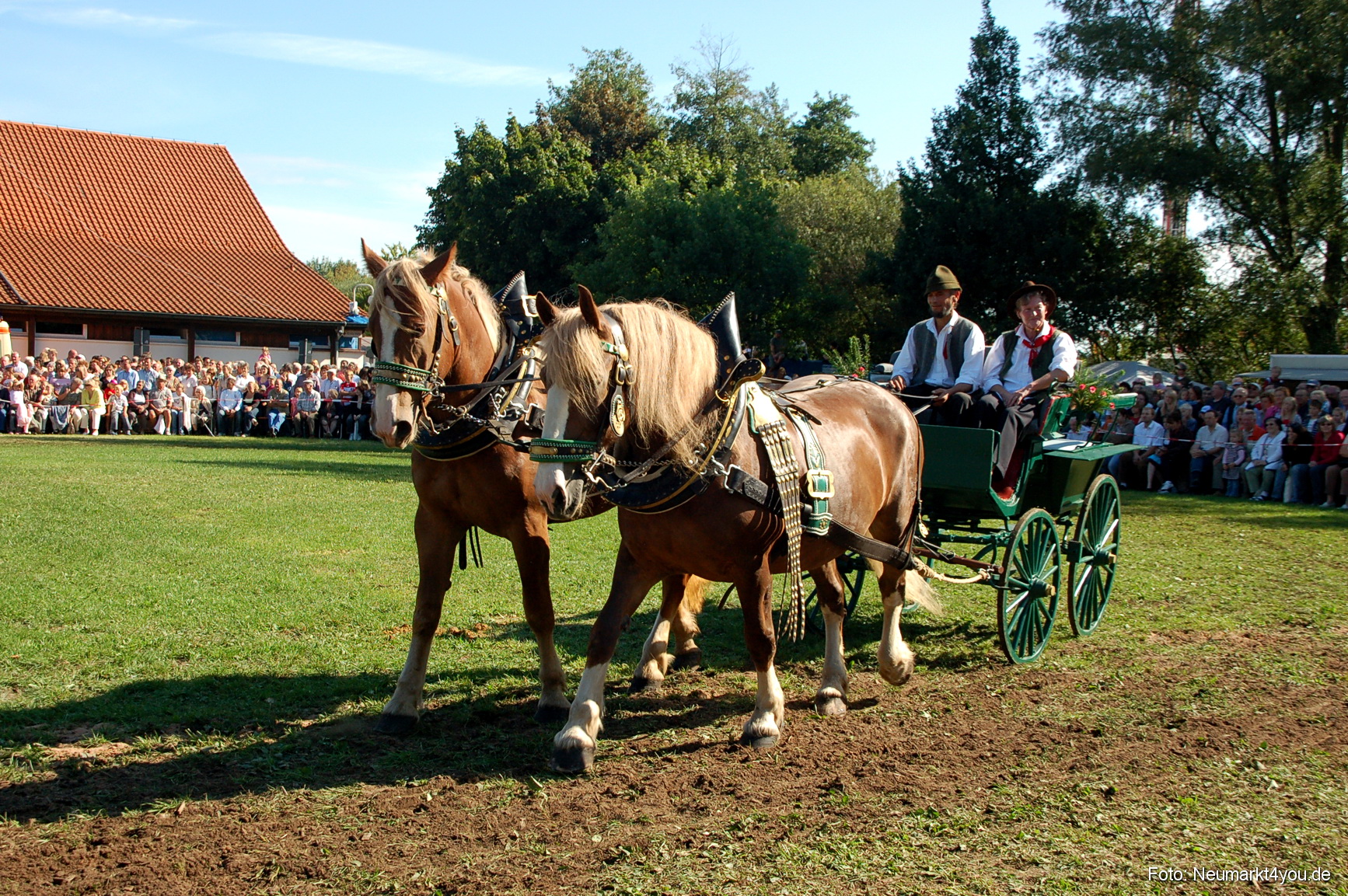 0072 Pferdeschau Neumarkt 180808