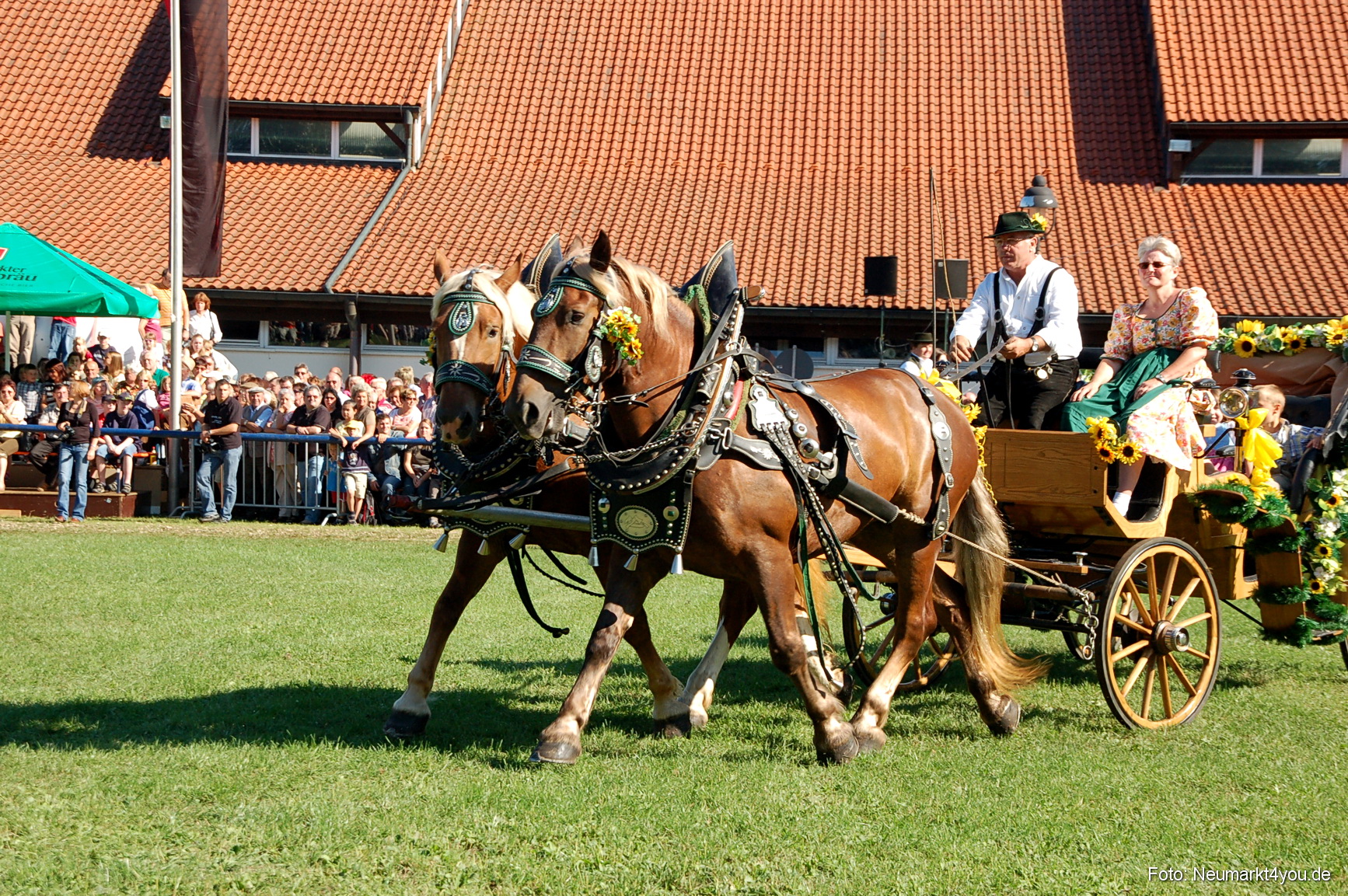0073 Pferdeschau Neumarkt 180808