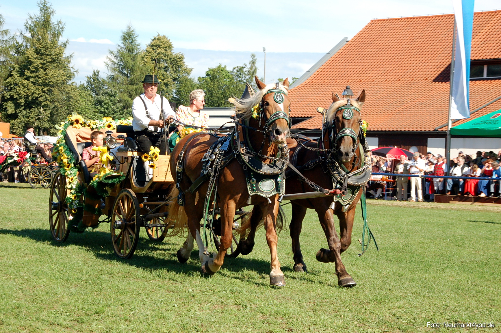 0074 Pferdeschau Neumarkt 180808