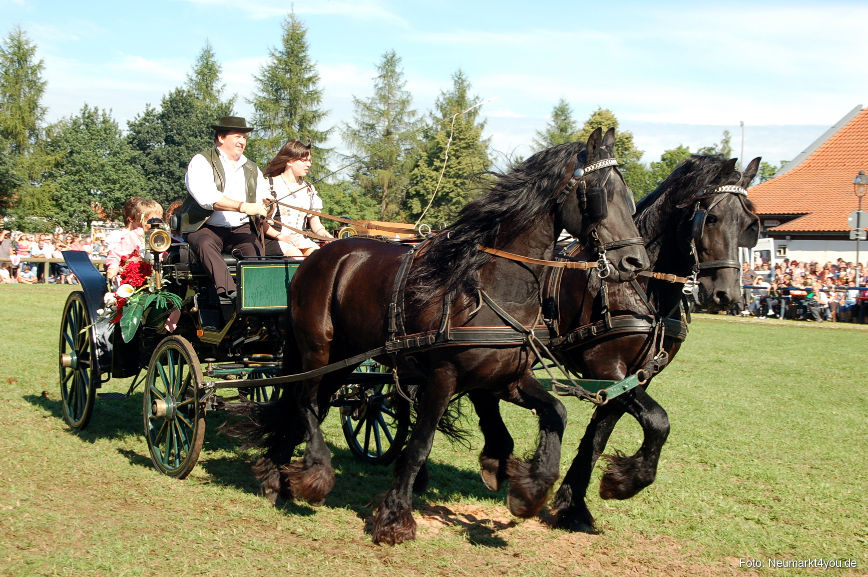 0075 Pferdeschau Neumarkt 180808