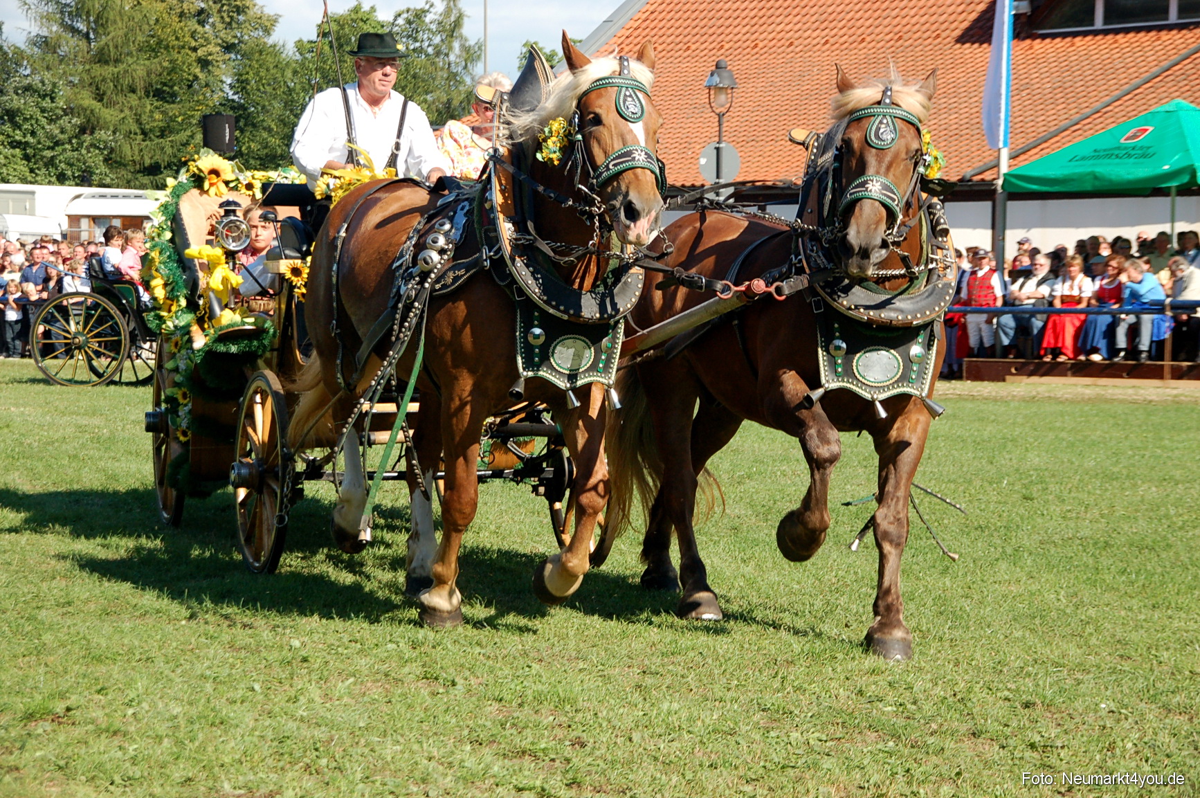 0076 Pferdeschau Neumarkt 180808