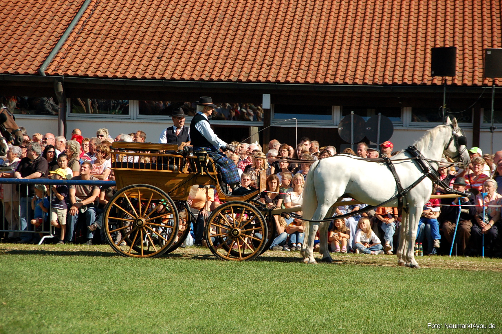 0077 Pferdeschau Neumarkt 180808