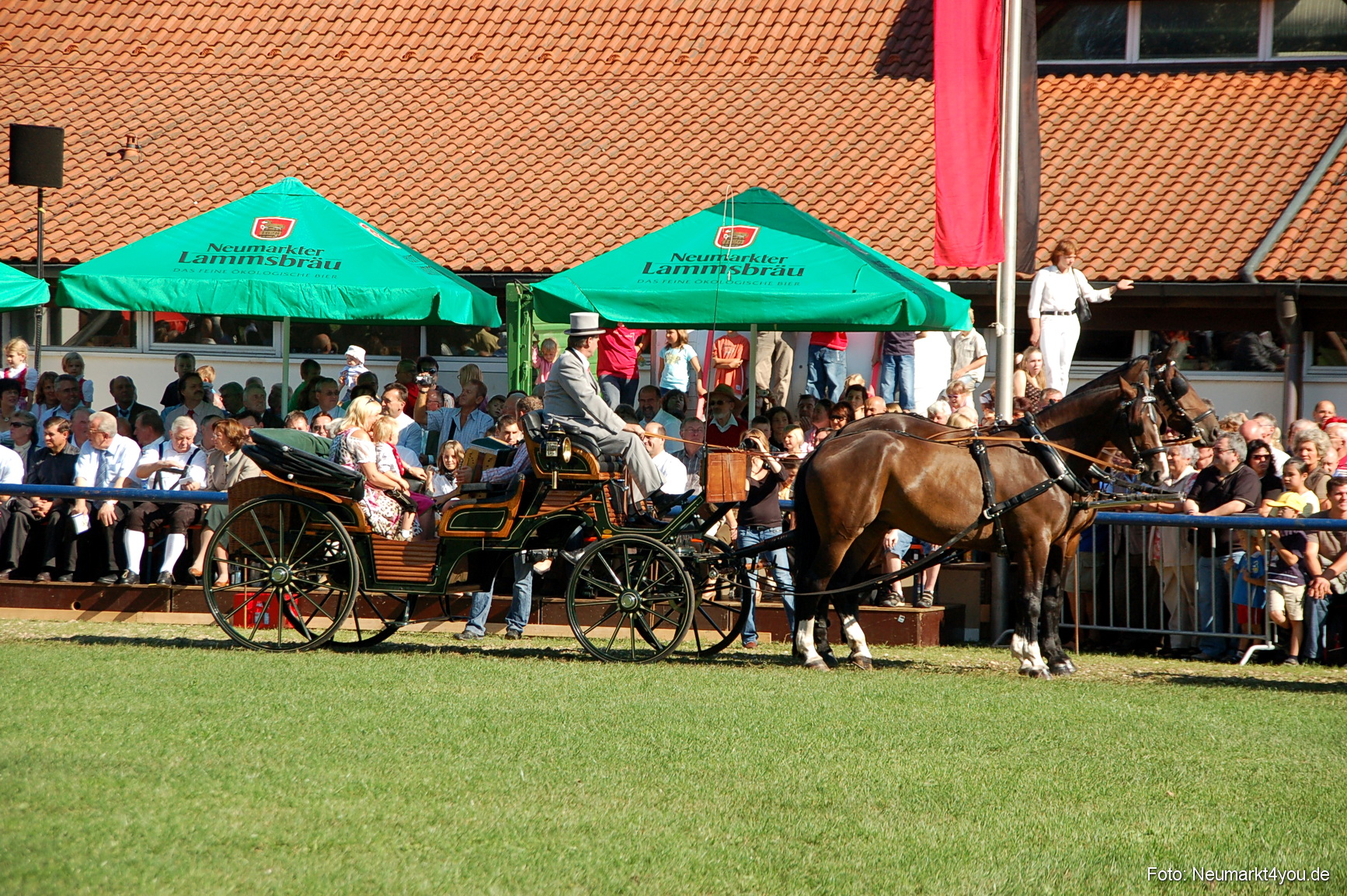 0078 Pferdeschau Neumarkt 180808