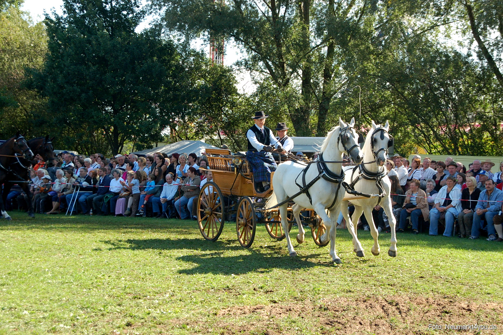0079 Pferdeschau Neumarkt 180808