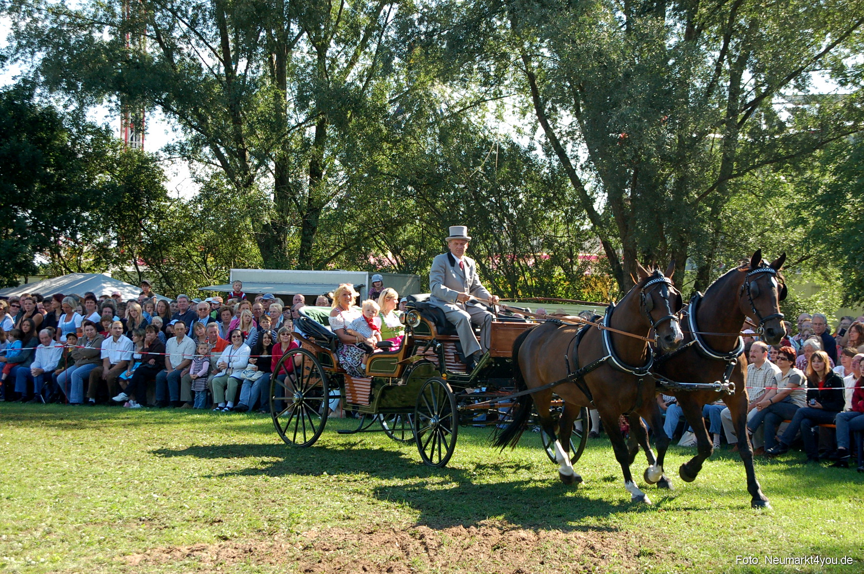 0082 Pferdeschau Neumarkt 180808