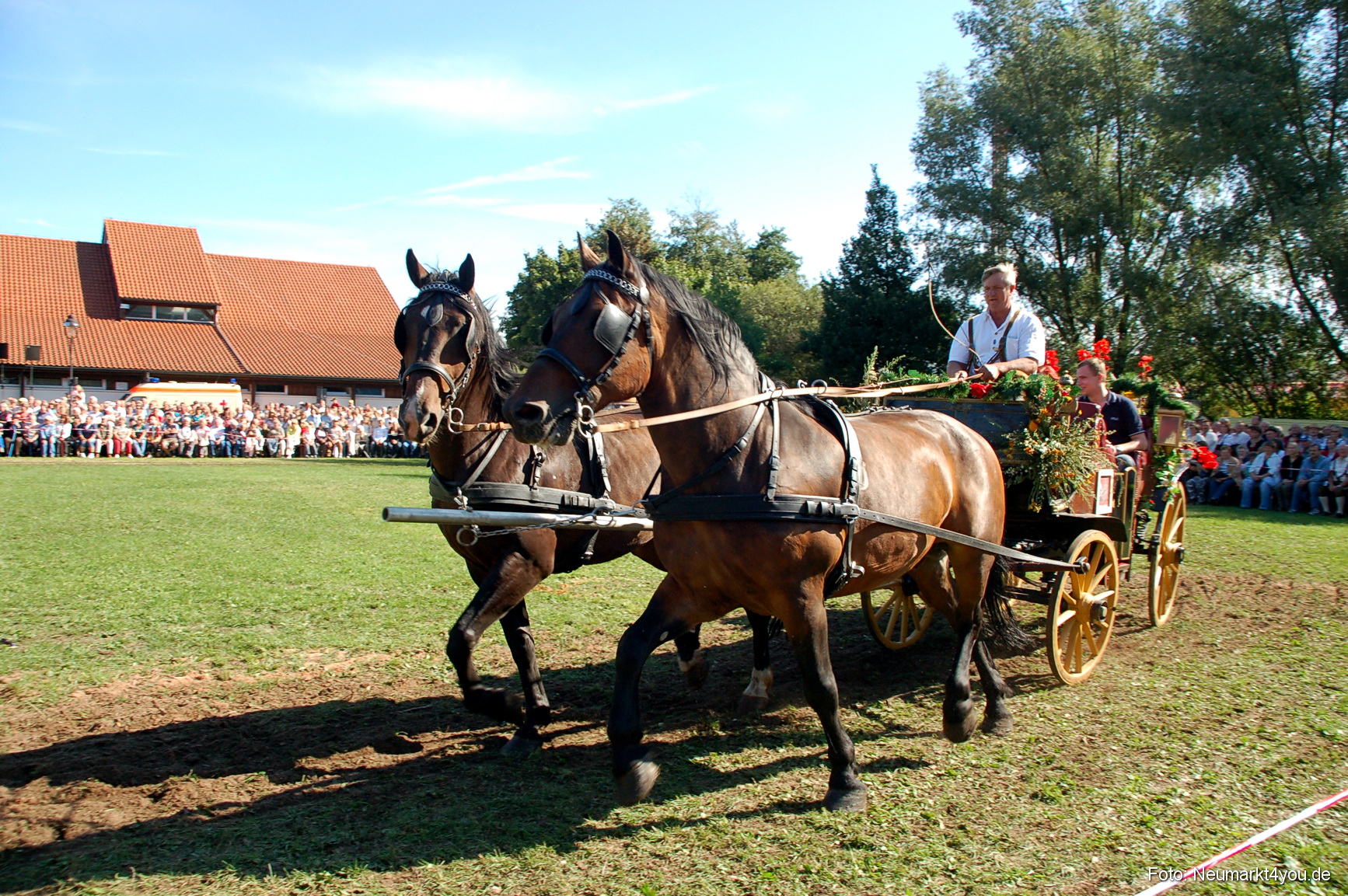 0083 Pferdeschau Neumarkt 180808