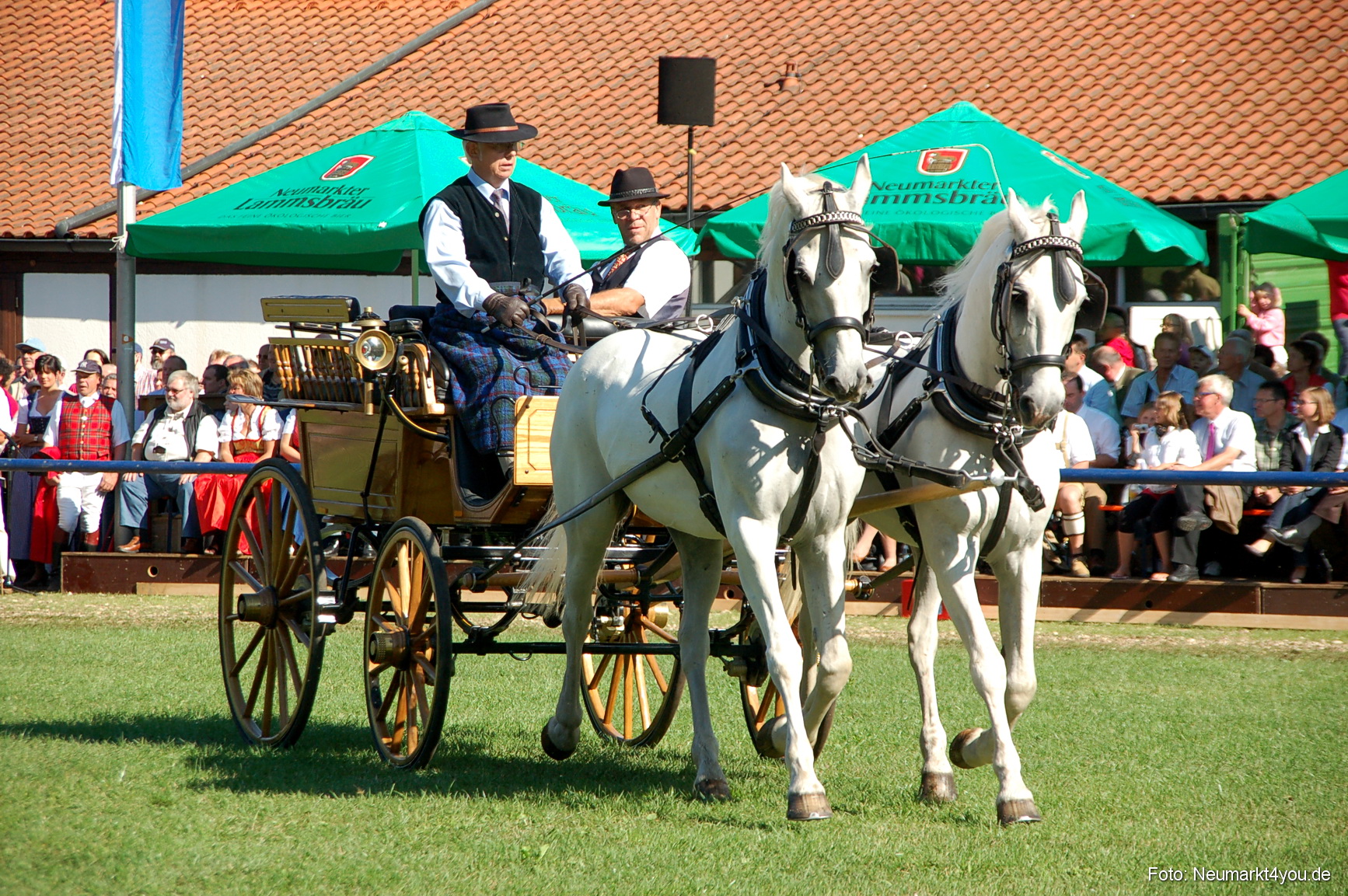 0084 Pferdeschau Neumarkt 180808